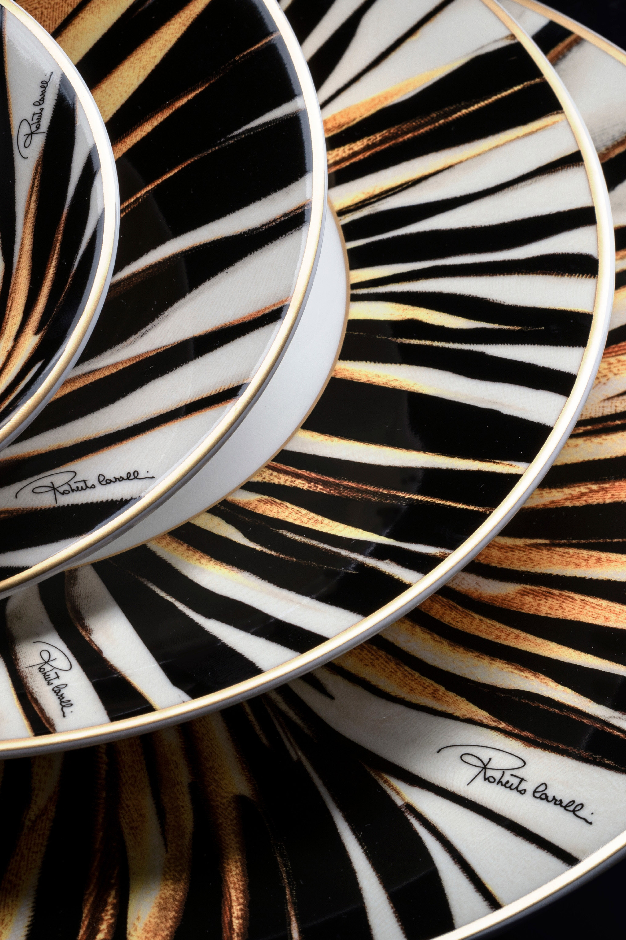 ROBERTO CAVALLI RAY OF GOLD 2 DINNER PLATES SET 
