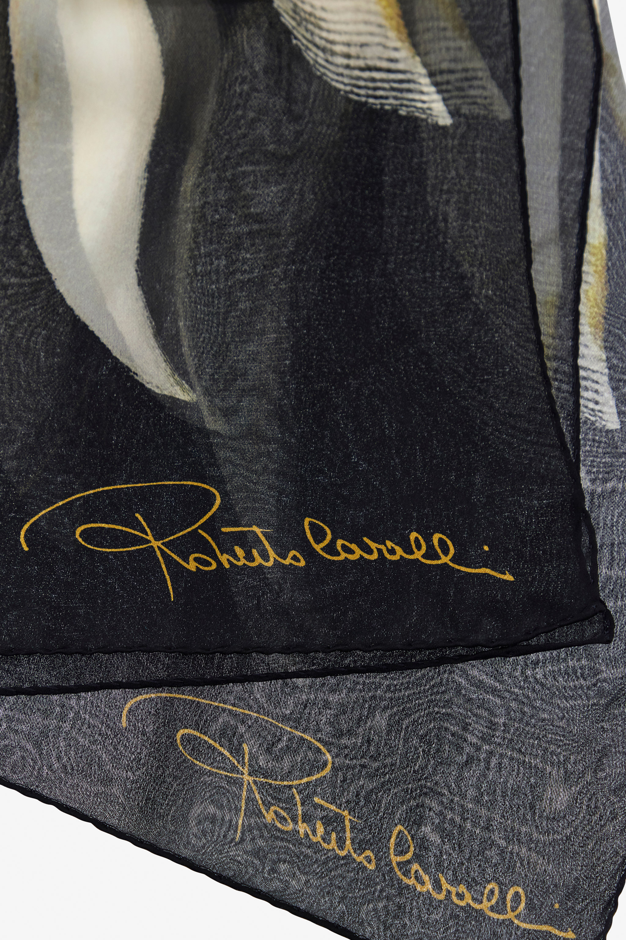 Shop Roberto Cavalli Ray Of Gold Print Scarf
