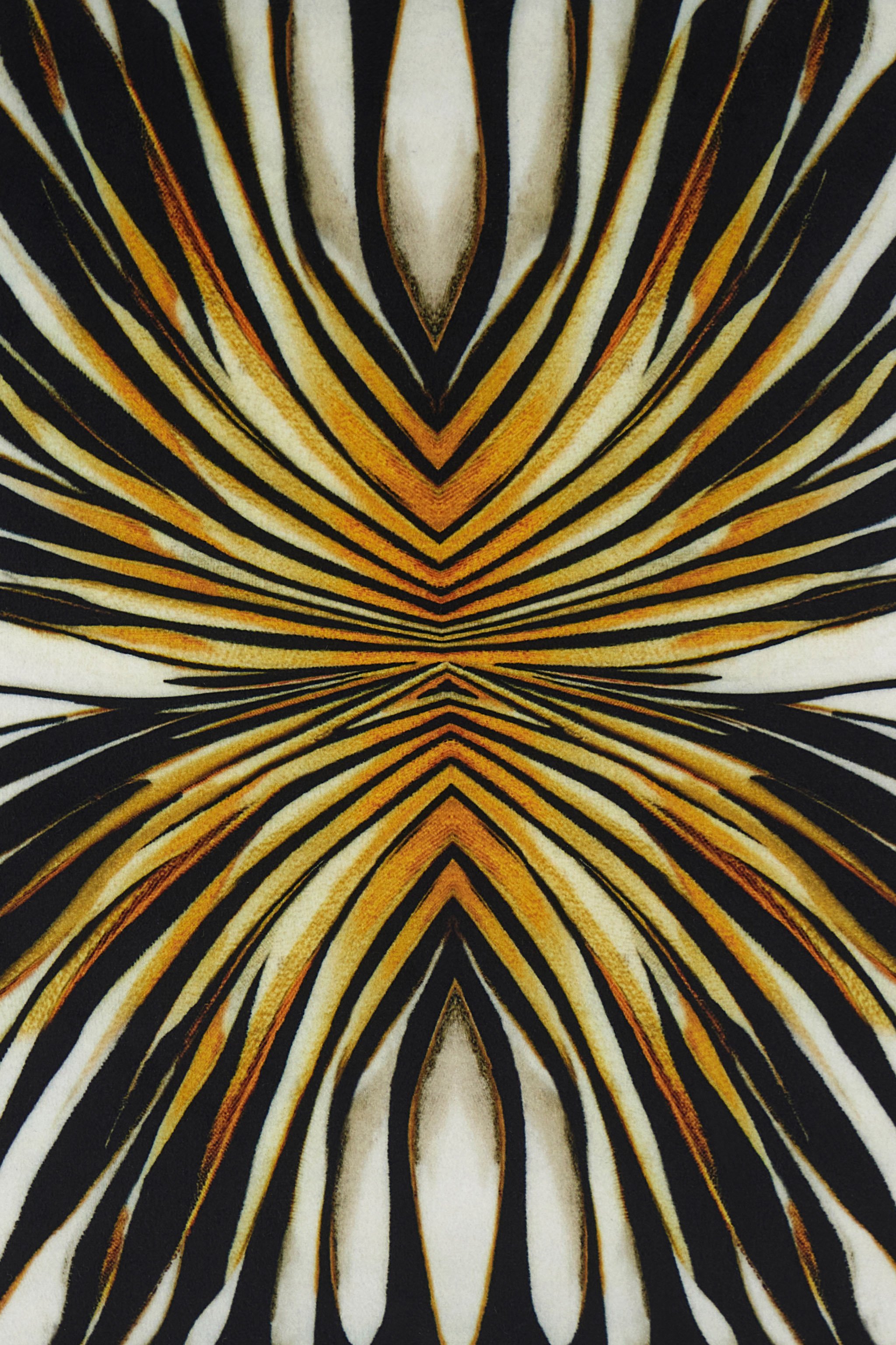 Cushion with Ray Of Gold Print