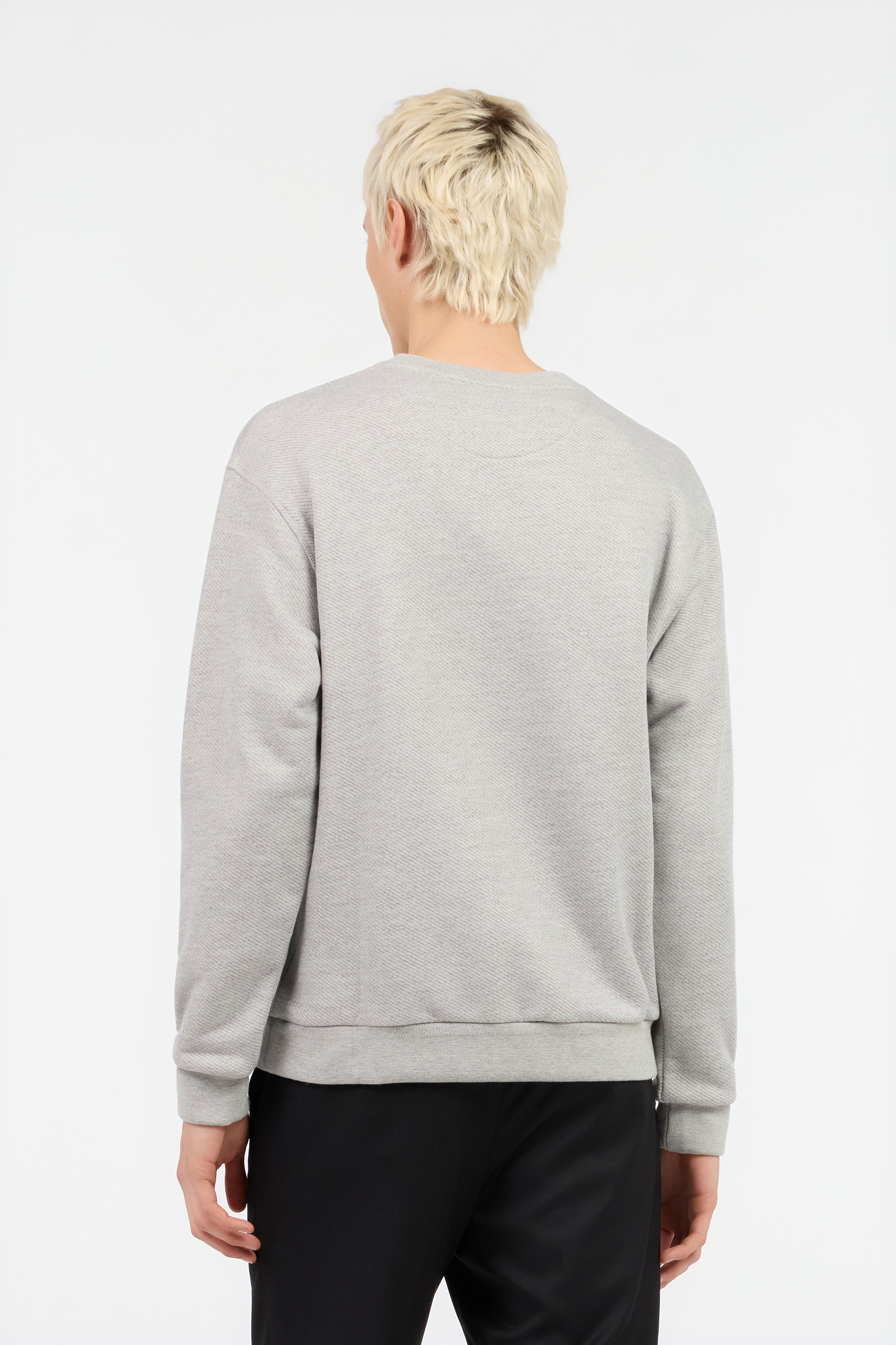 Snake Logo Sweatshirt Grey