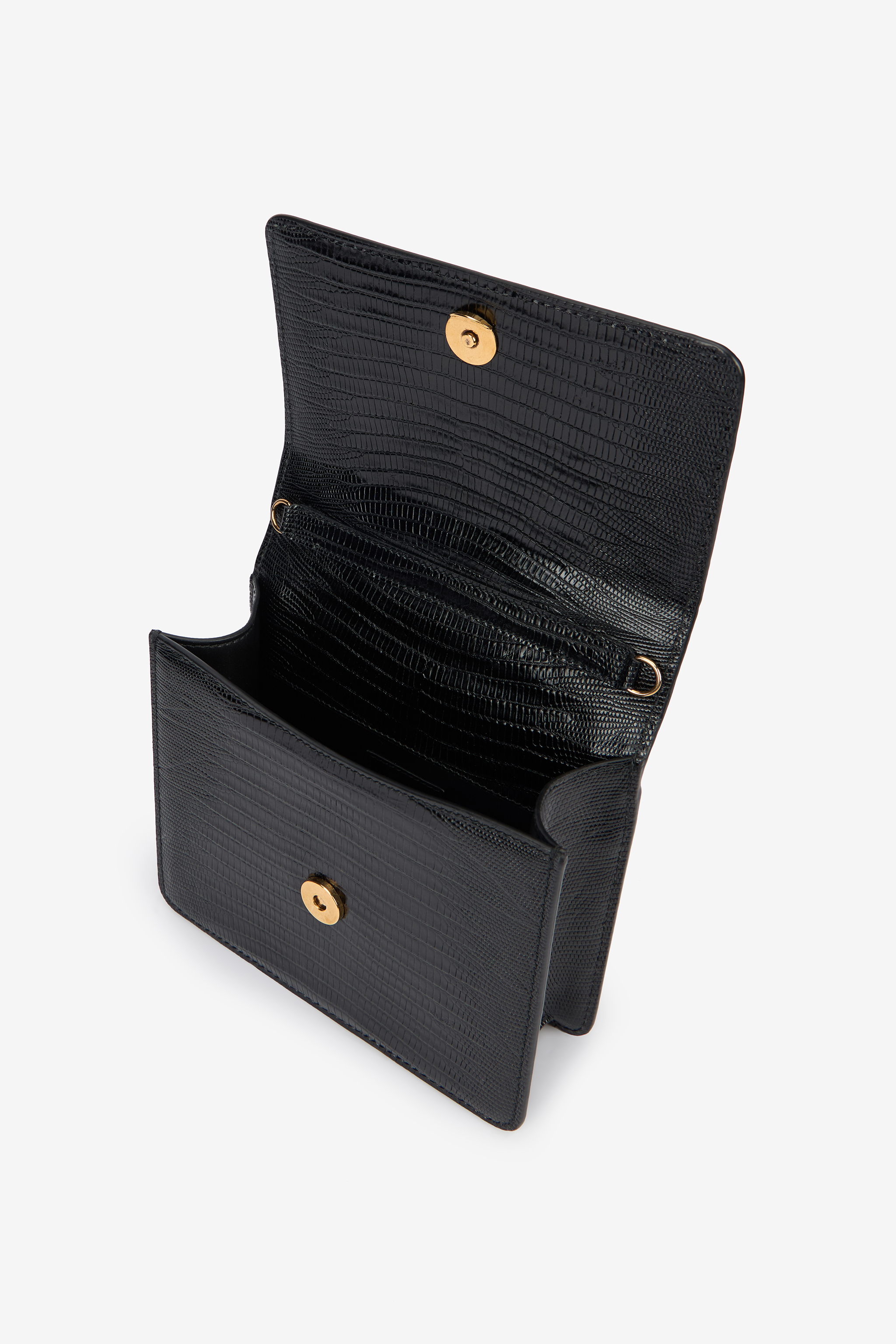 Black Bag With Snakes