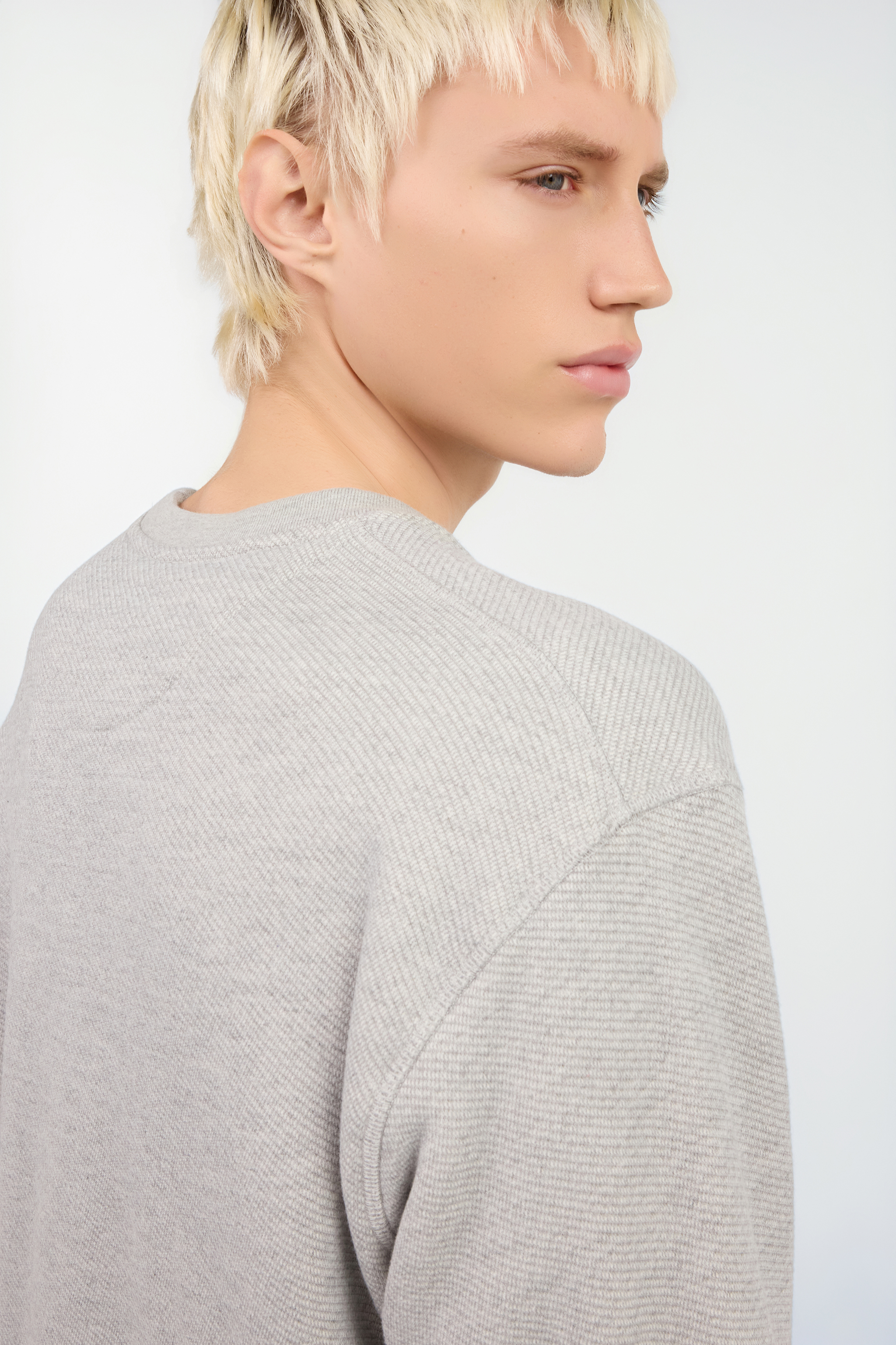 Snake Logo Sweatshirt Grey