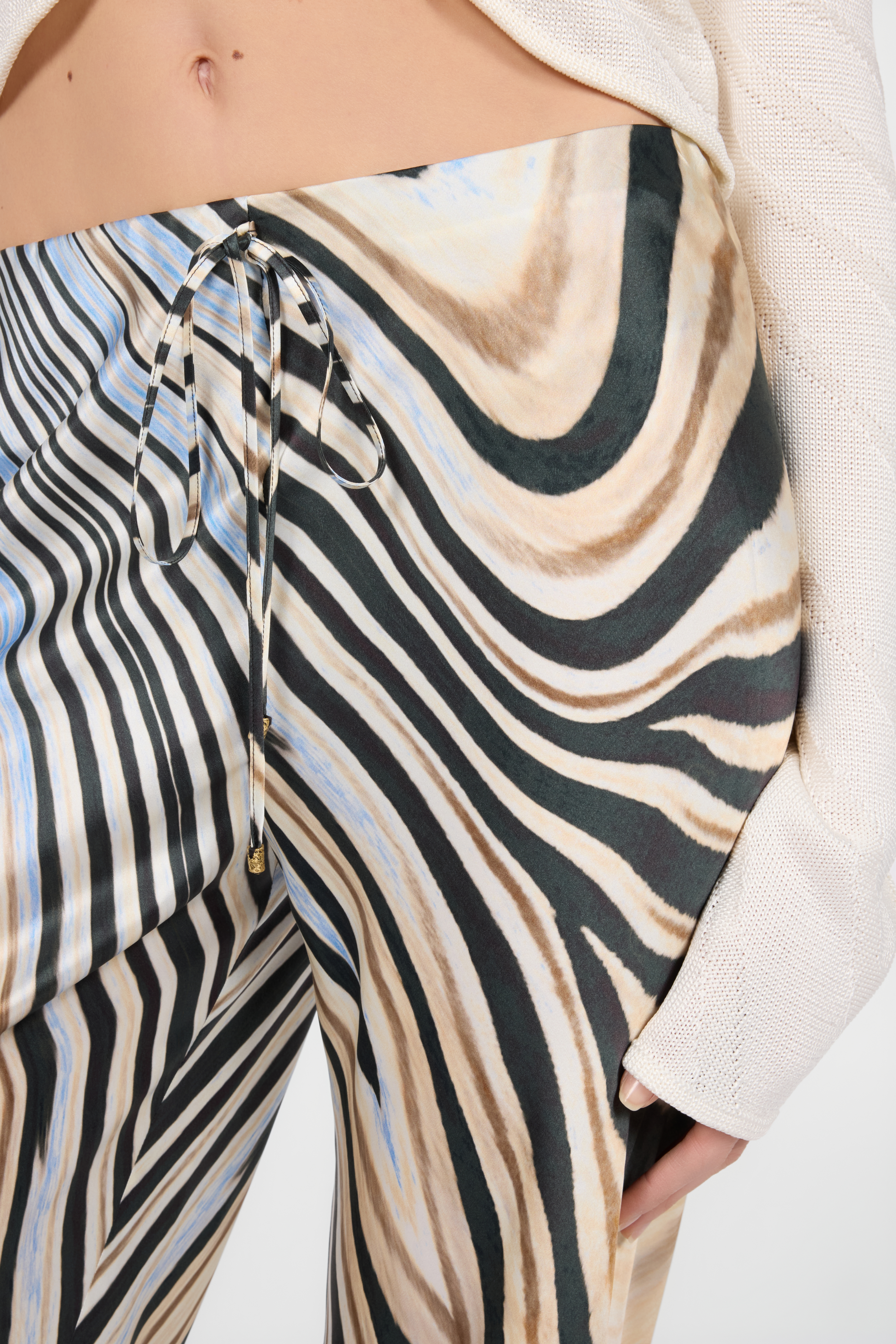 Roberto Cavalli Zebra Print Trousers | Thumbnail 4 Roberto Cavalli Zebra Print Trousers | Thumbnail 4