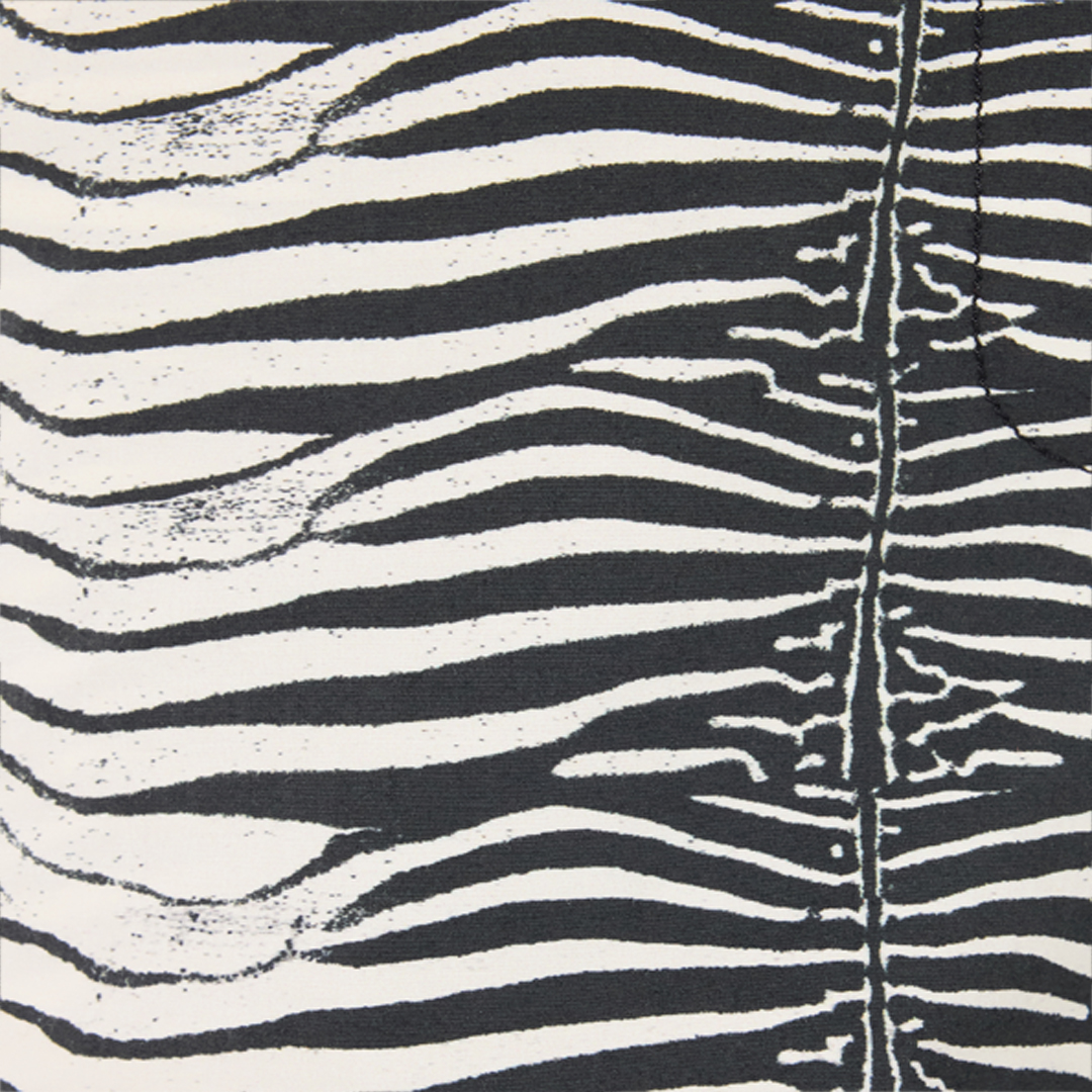 Roberto Cavalli Stretch Cotton Pants With White Tigress Print In Bianco/nero