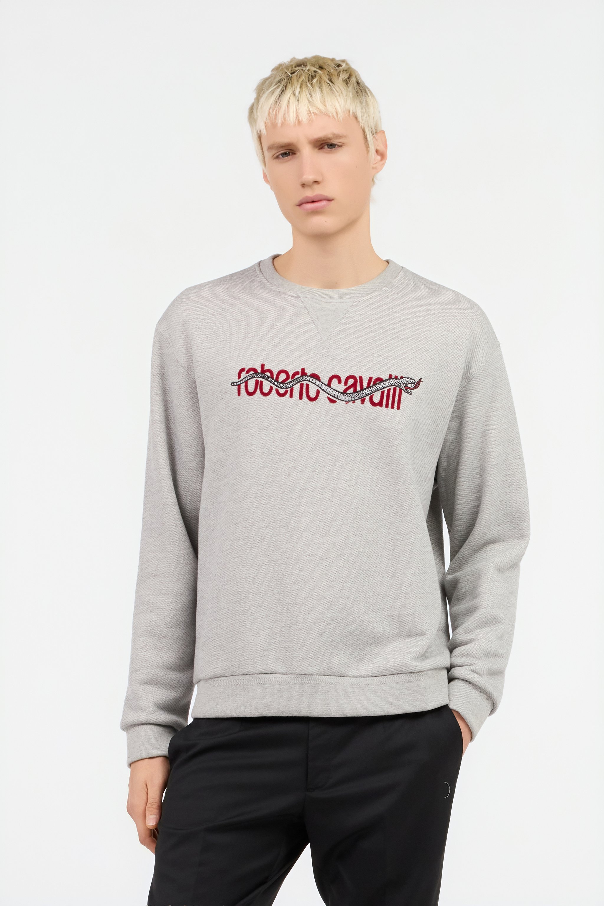 Snake Logo Sweatshirt Grey
