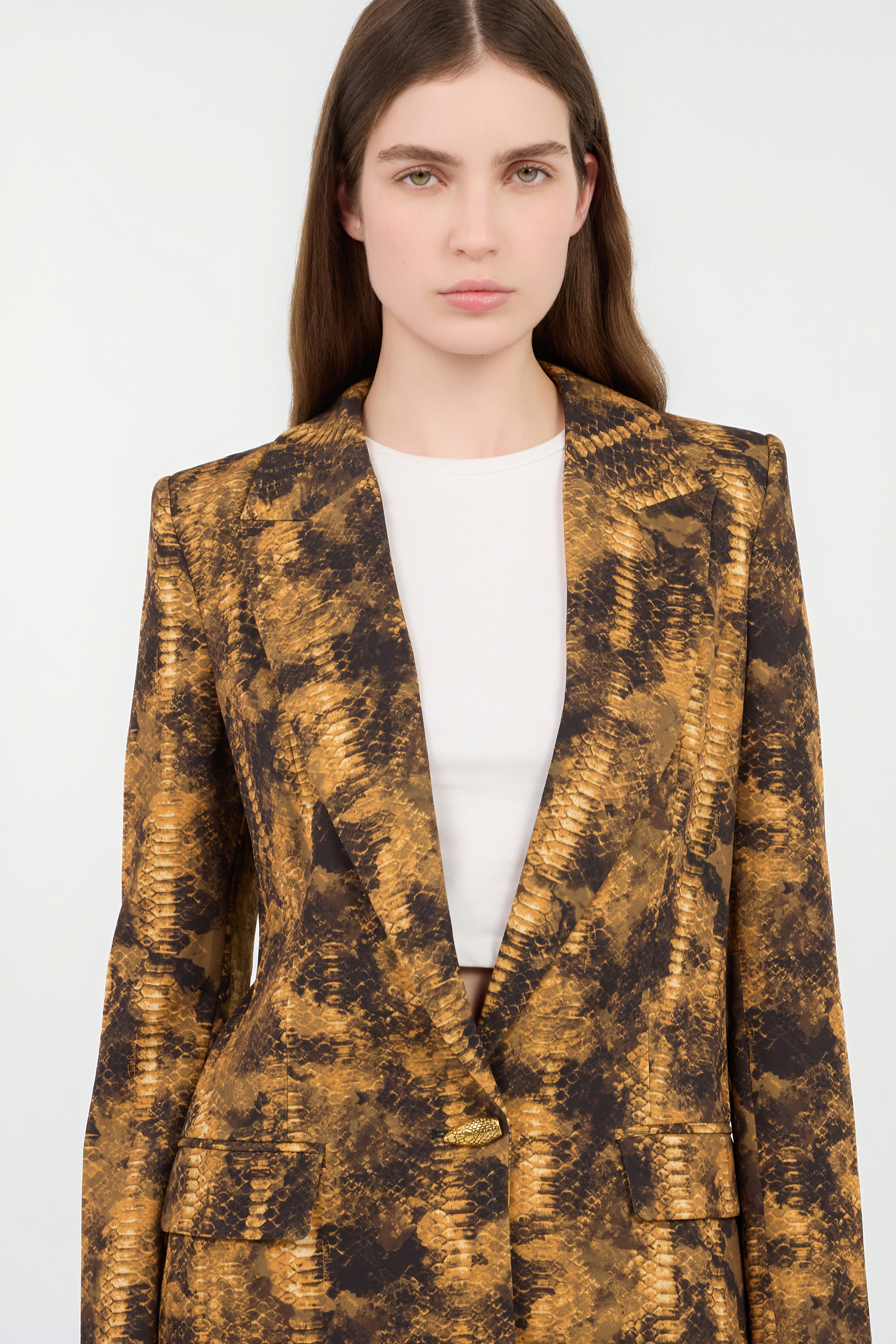 Roberto Cavalli Python Print Jacket In Brown