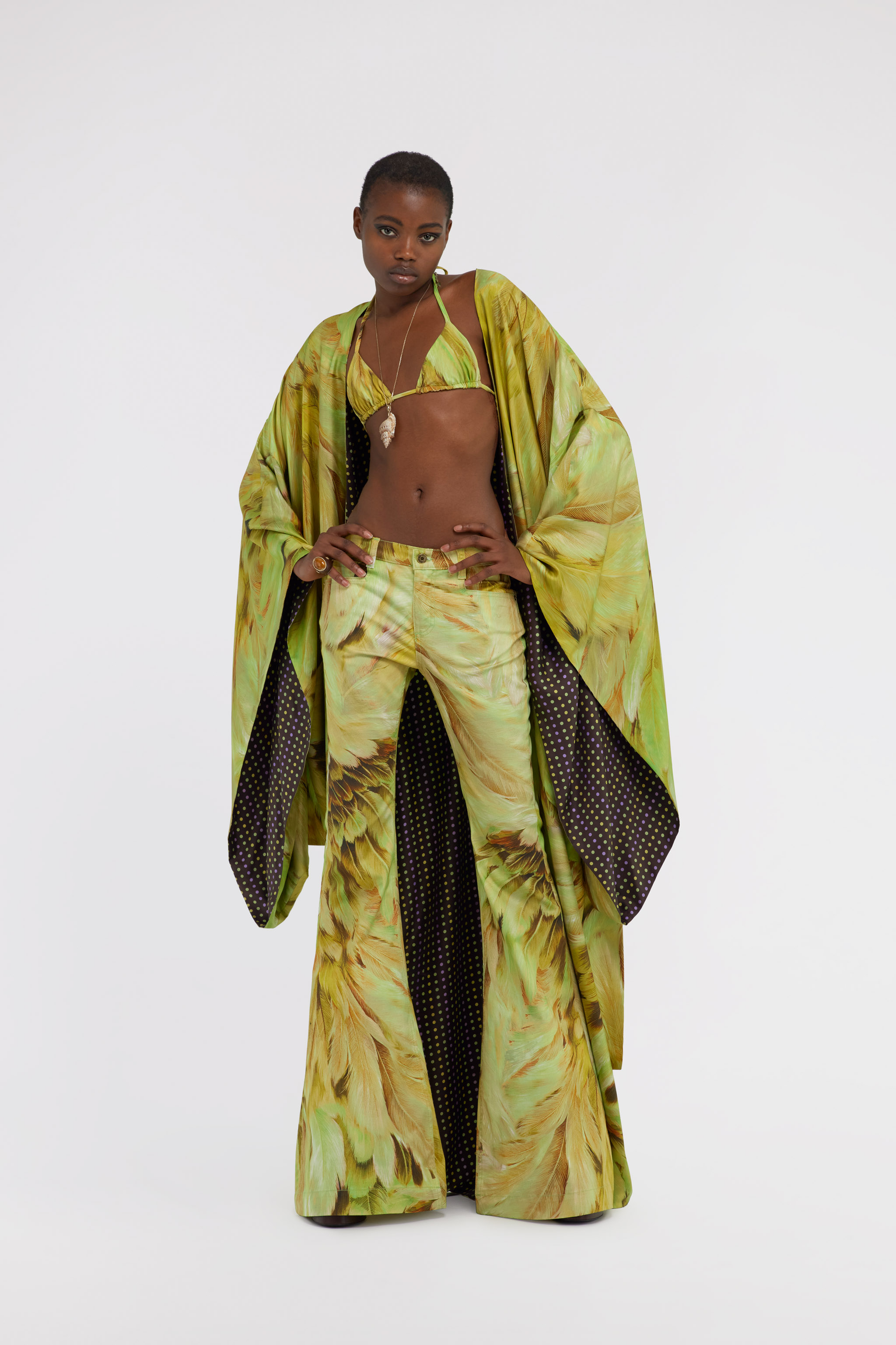 ROBERTO CAVALLI PLUMAGE PRINT DENIM