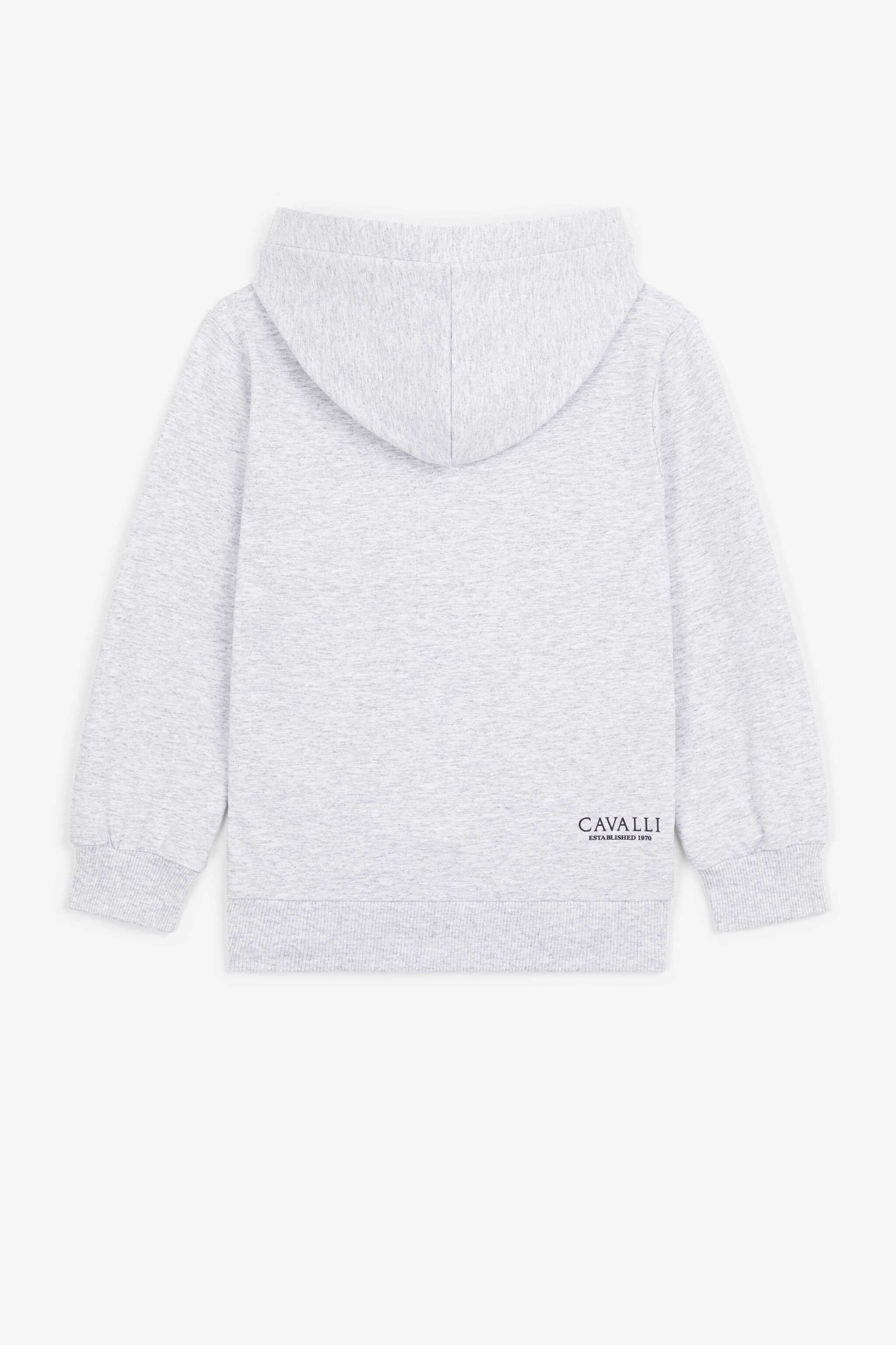 Roberto Cavalli Sweatshirt In Gray
