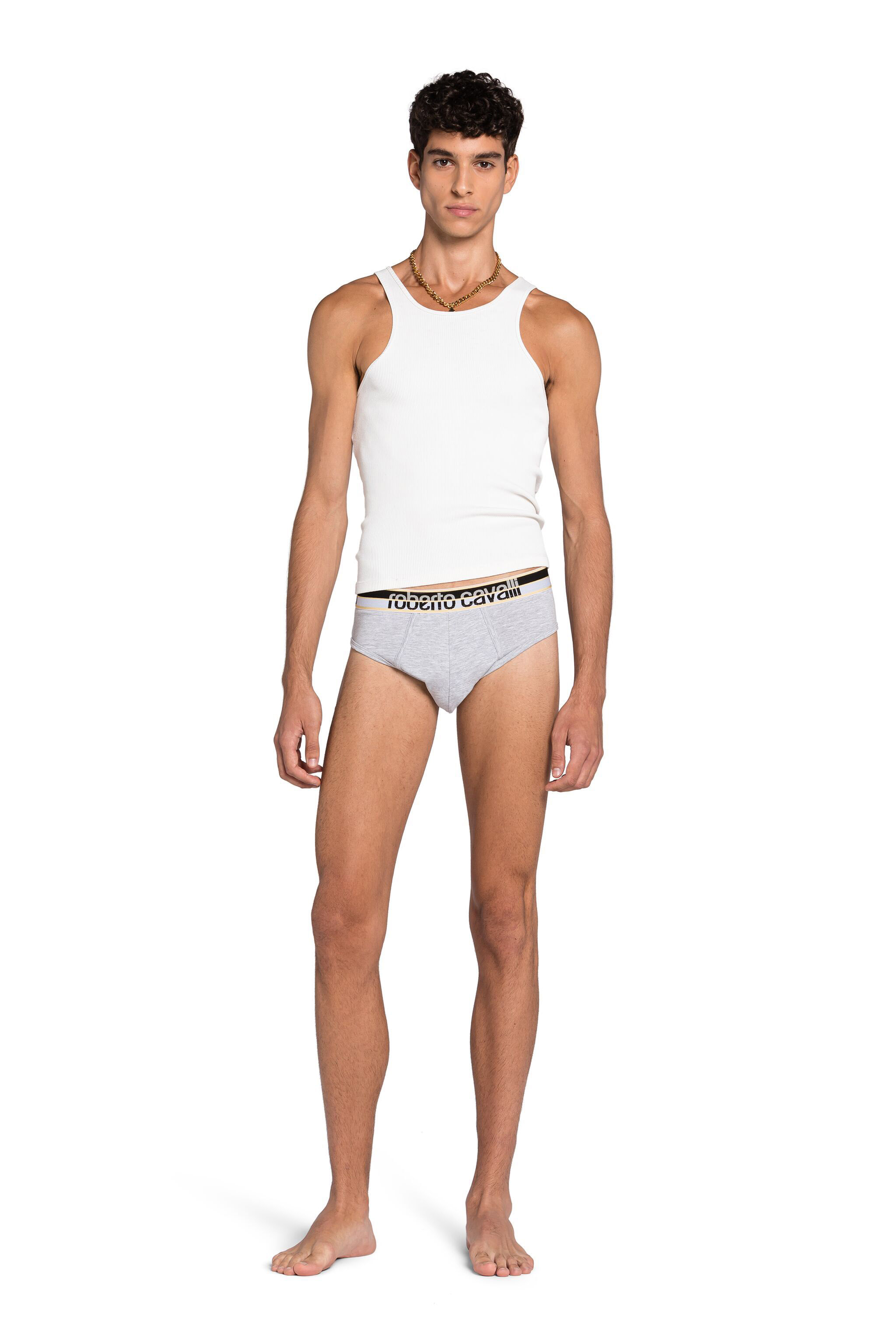 Roberto Cavalli Logo Briefs In Gray