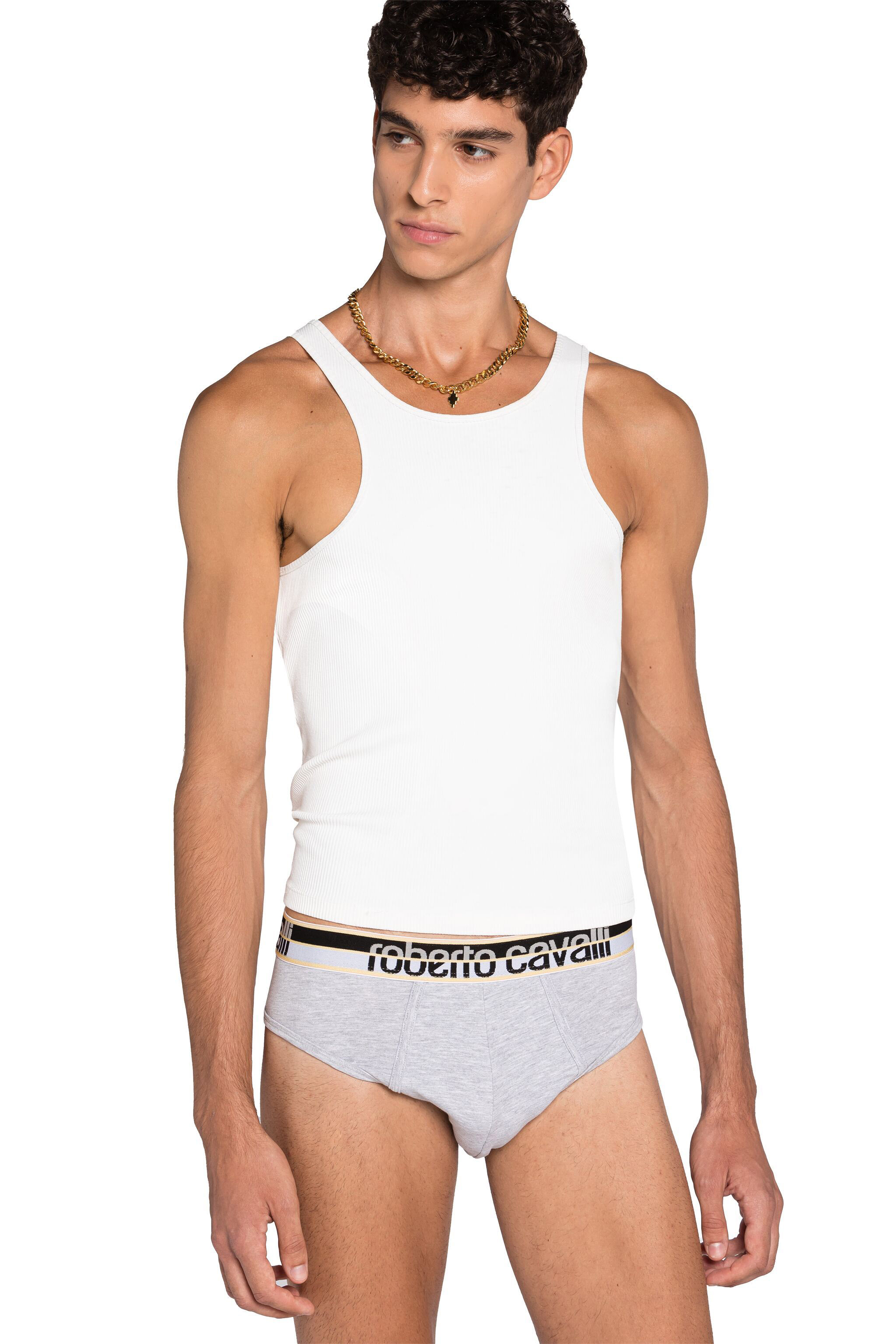 Roberto Cavalli Logo Briefs In Gray