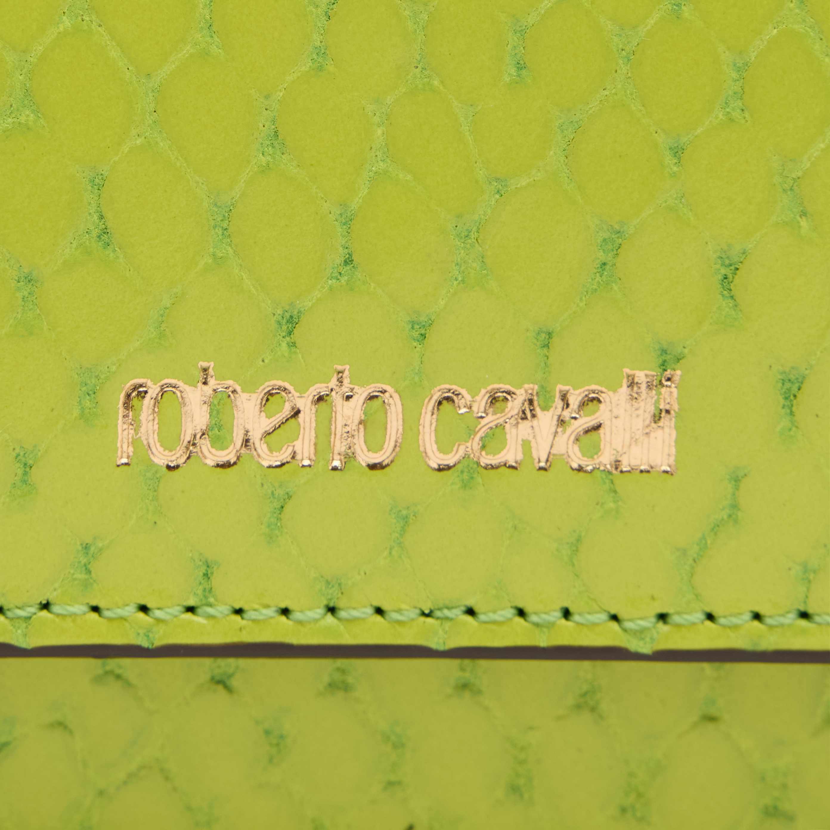 Shop Roberto Cavalli Snake-effect Card Holder With Logo In Light Green