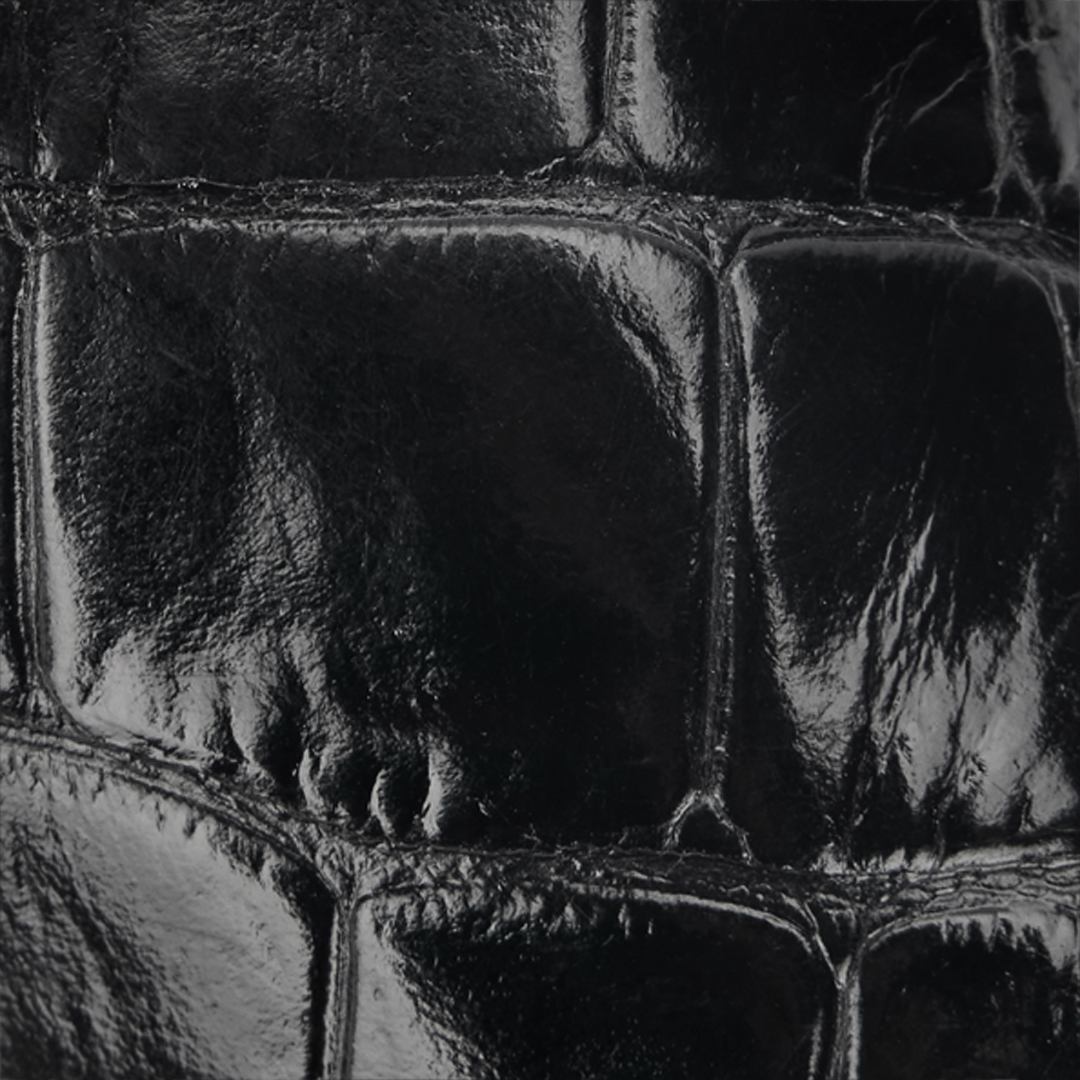 Crocodile Scale-Effect Pumps