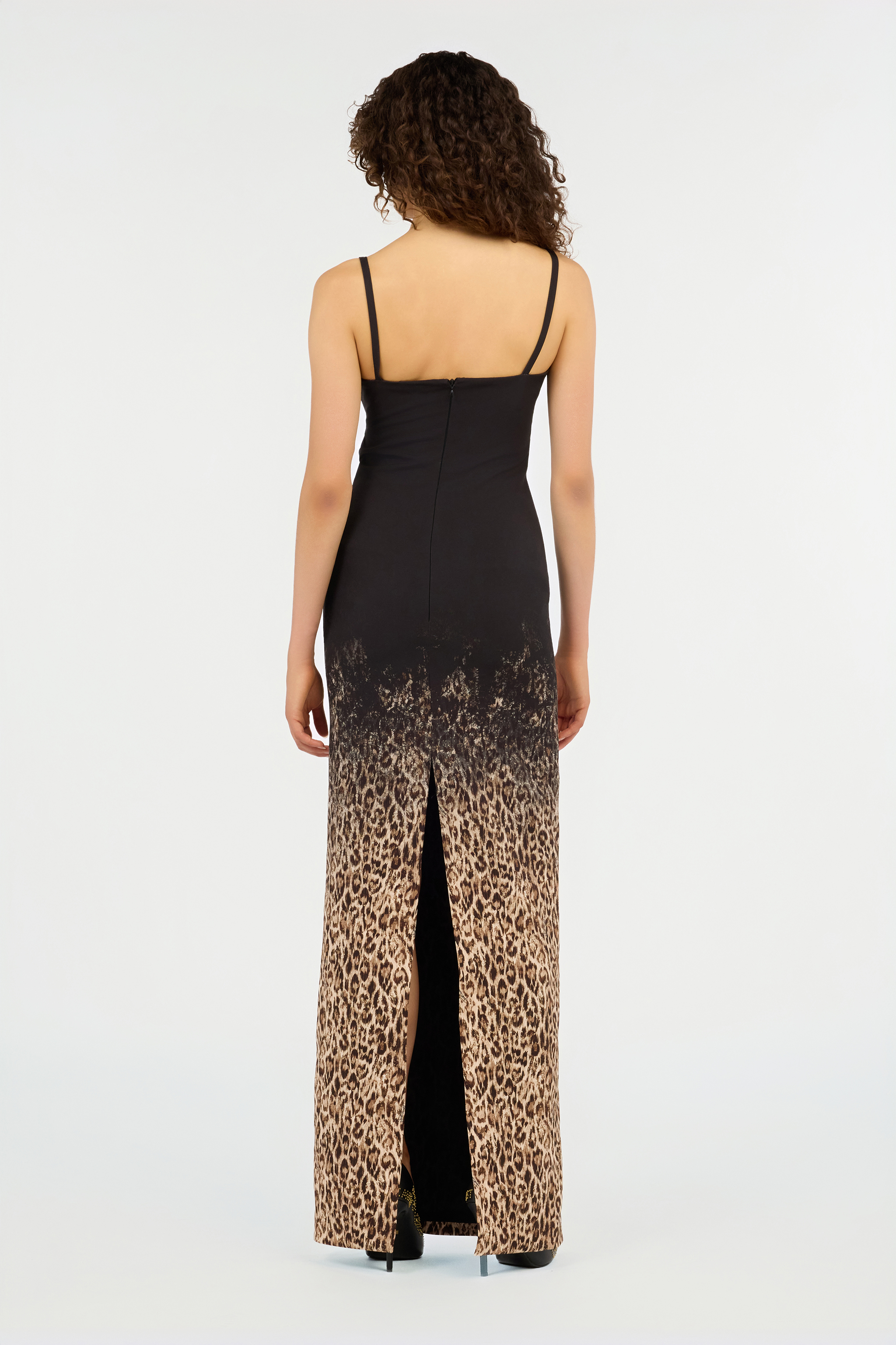 Roberto Cavalli Leopard Print Maxi Dress In Animal Print