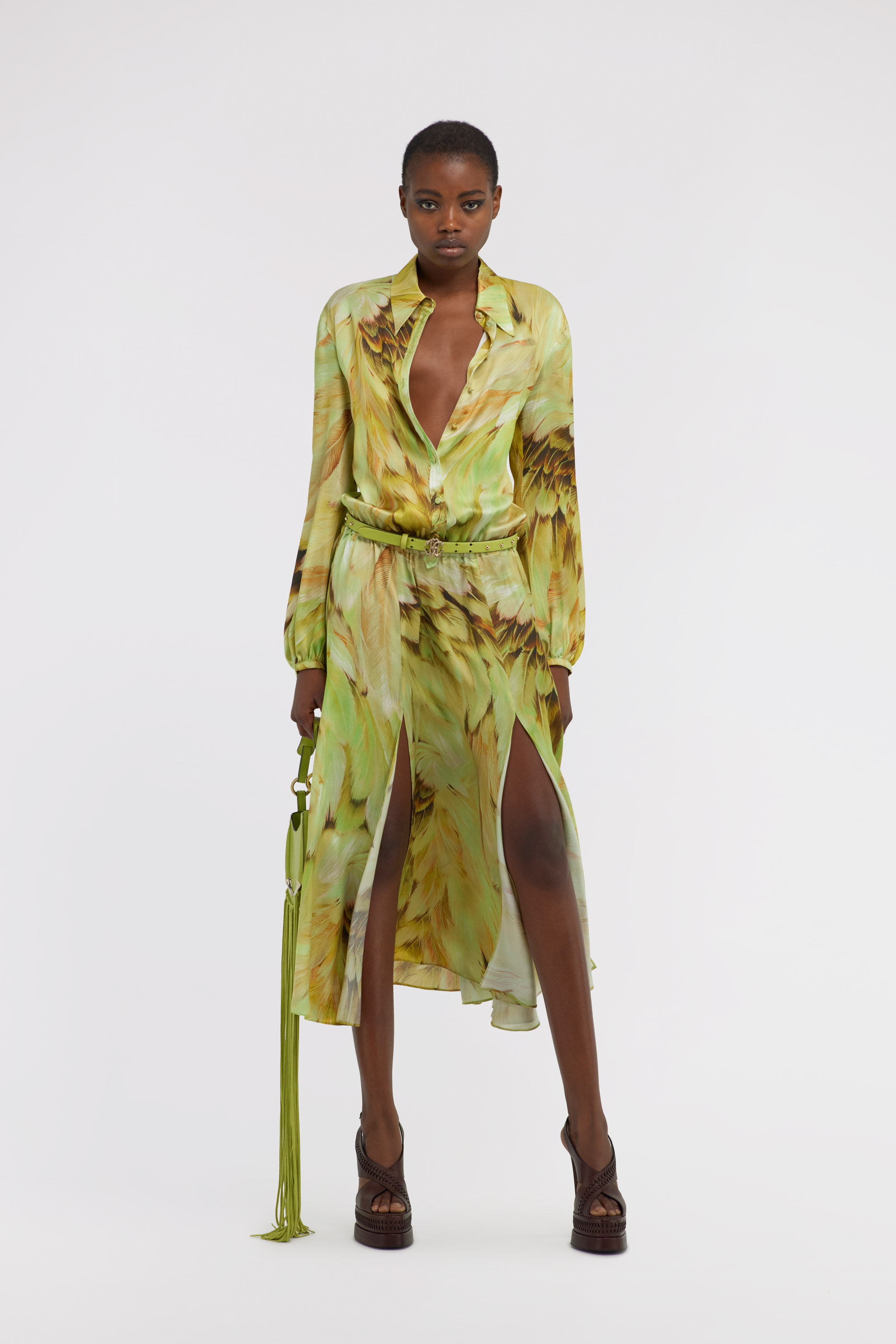 Roberto Cavalli Long Dress Plumage Print In Light Green