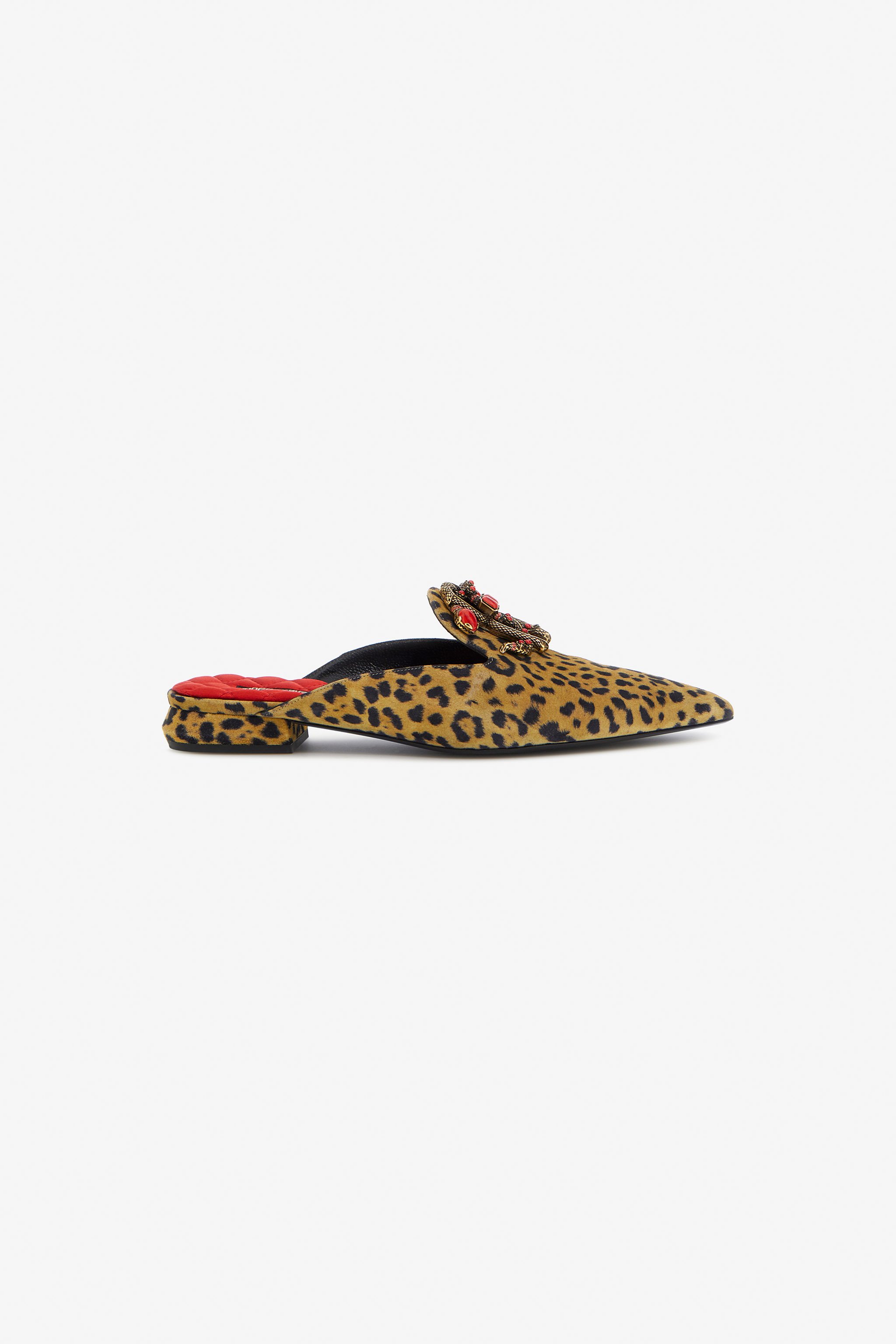 Shop Roberto Cavalli Mules With Logo And Stones In Light Brown