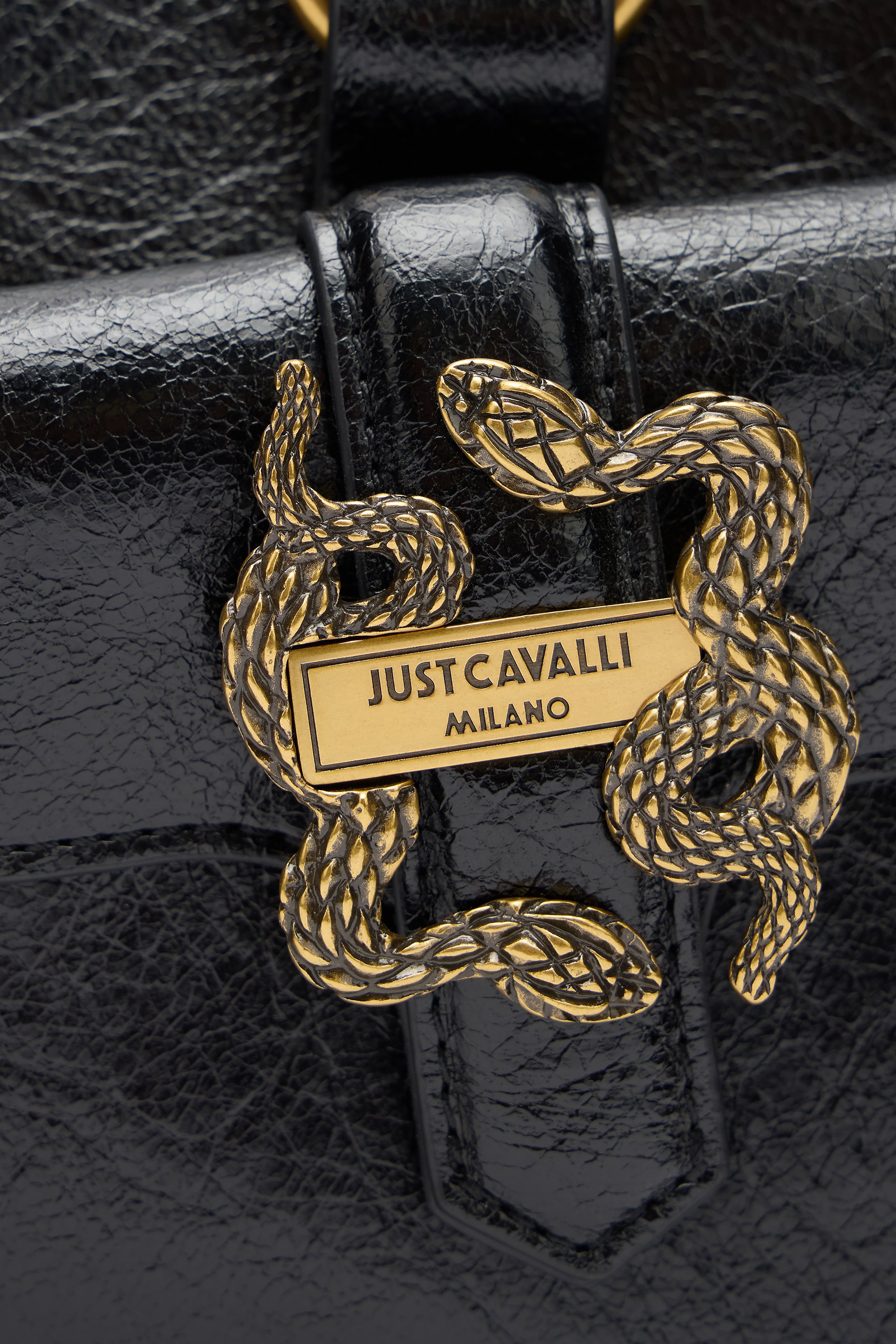 Roberto Cavalli Black Shoulder Bag With Snake Detail In Black