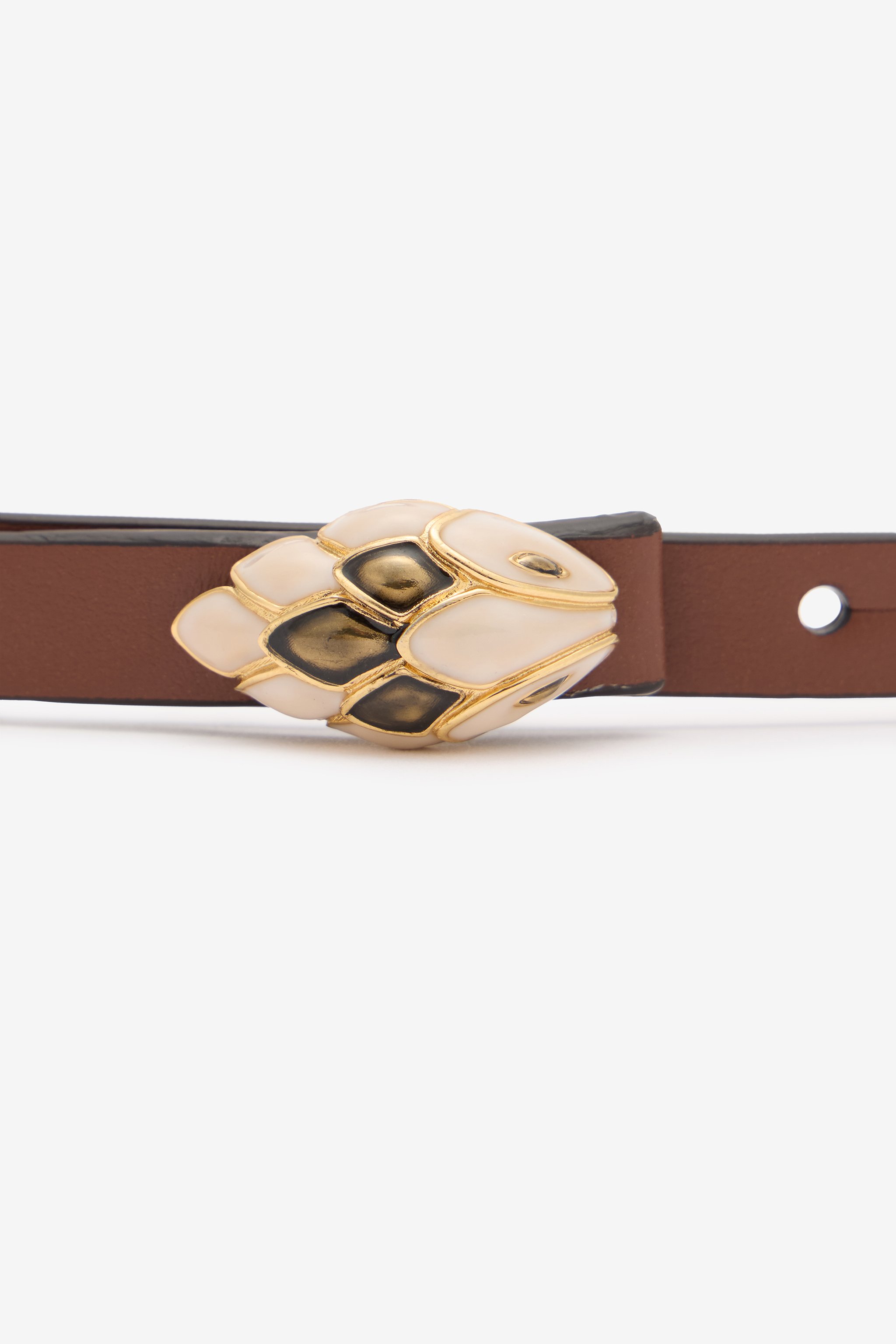 Roberto Cavalli Snake-head Crystal-embellished Belt In Brown