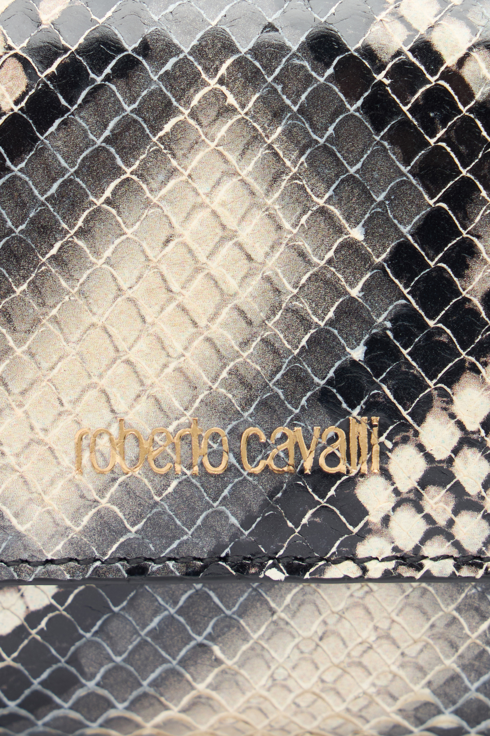 Roberto Cavalli Small Wallet In Printed Leather With Logo In Black/white