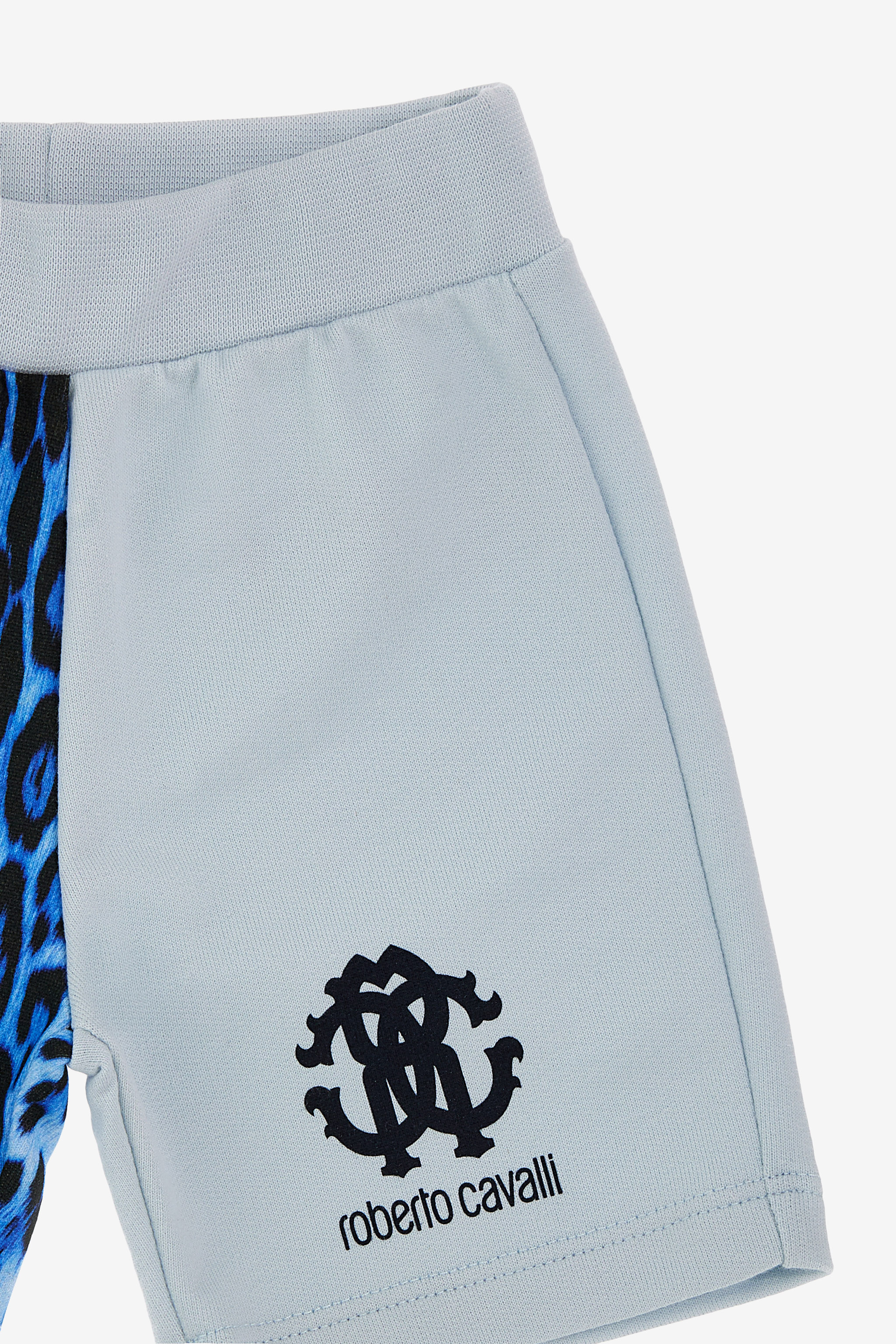 Roberto Cavalli Printed Pants In Light Blue