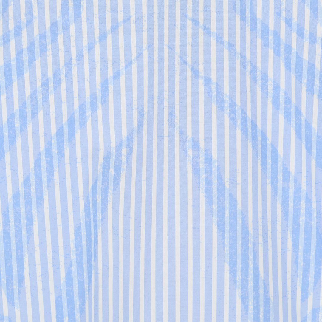 Roberto Cavalli Striped Shirt With Zebra Pattern In Light Blue
