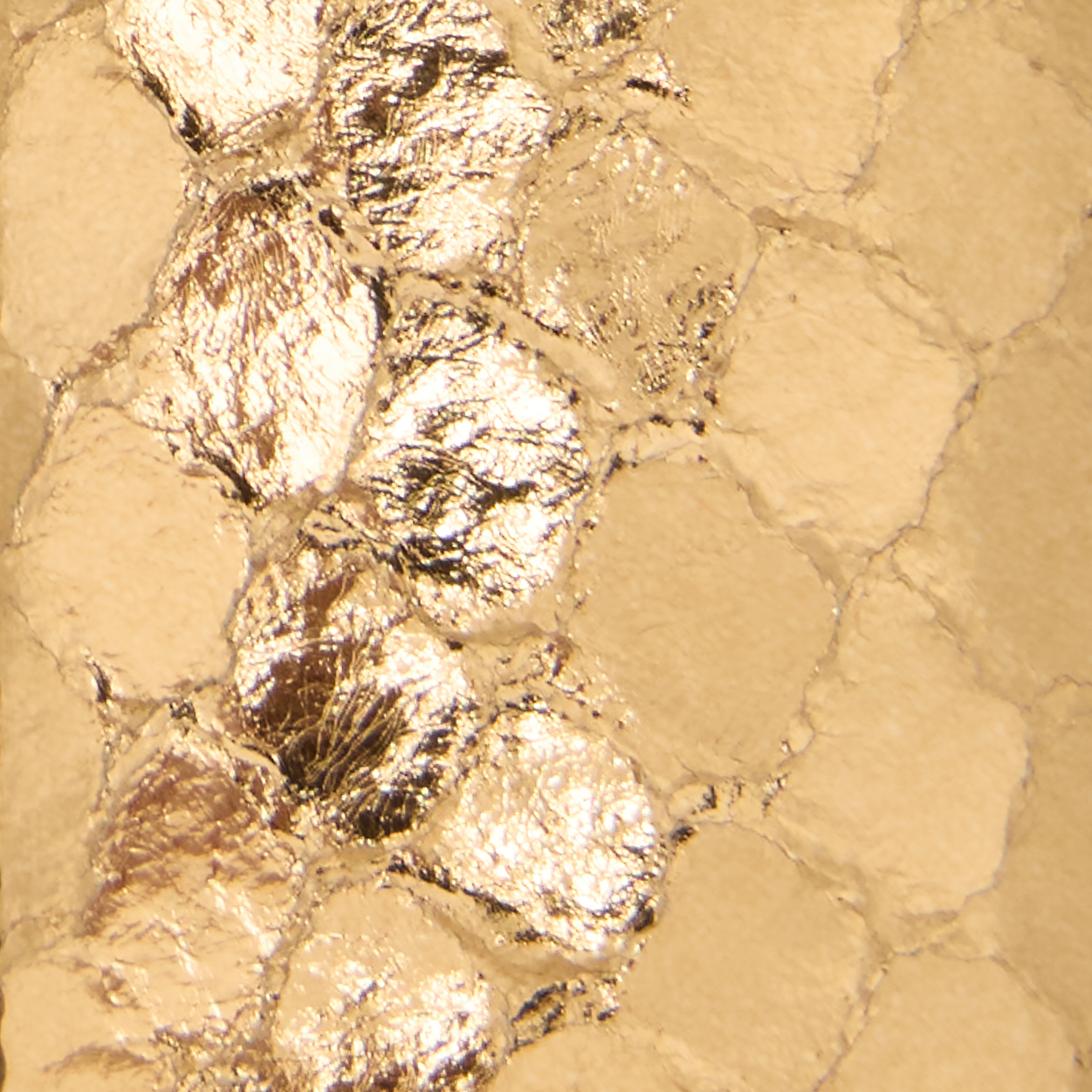 ROBERTO CAVALLI SNAKE-PRINT LAMINATED LEATHER BELT