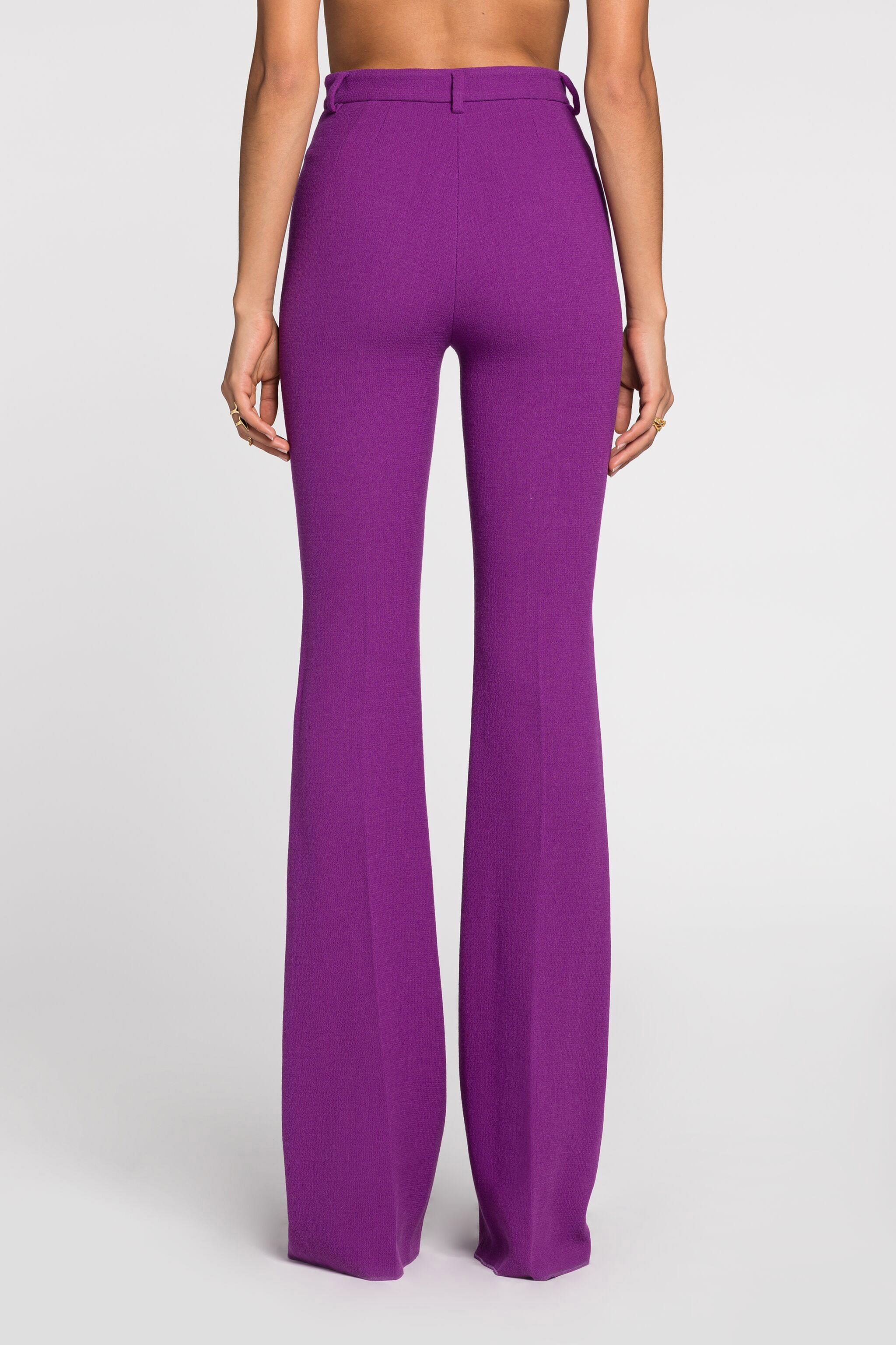 Roberto Cavalli Tailored Trousers With Fangs In Purple