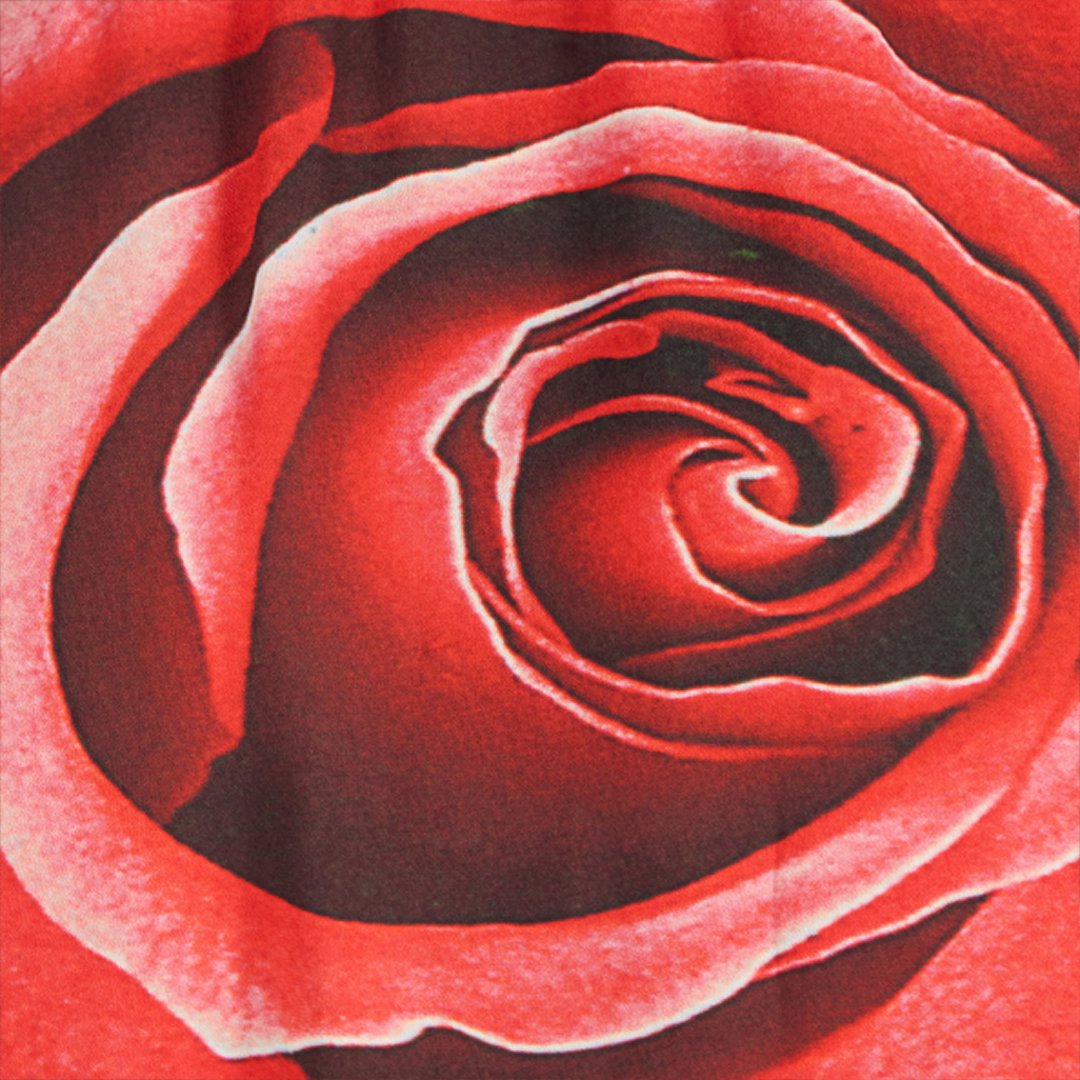 Shop Roberto Cavalli Minikleid Mit Print Rose Und Schärpe In Rosso