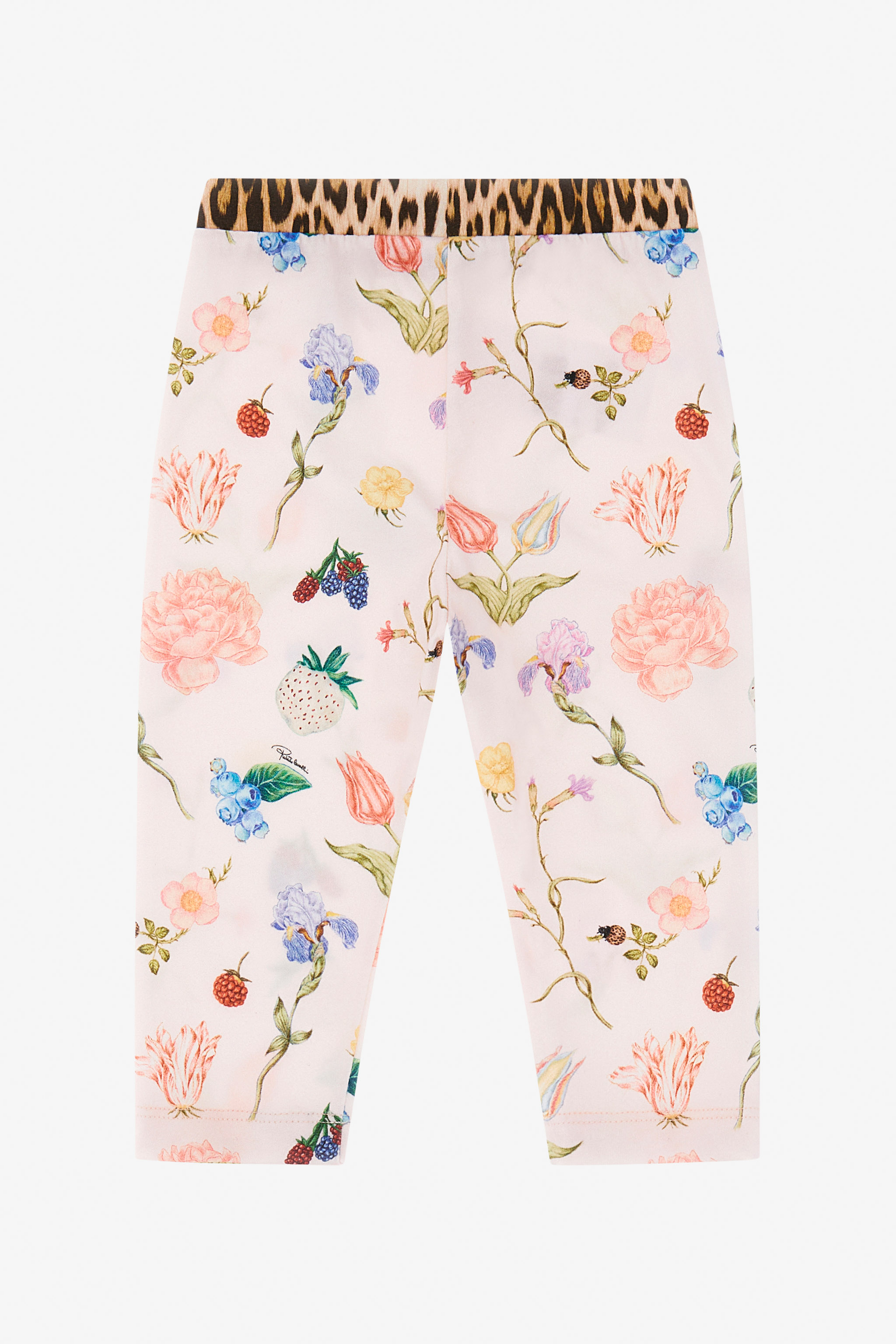 Roberto Cavalli Jogginghose Mit Print Mit Blumen, Früchten Und Jaguar Skin In Pink