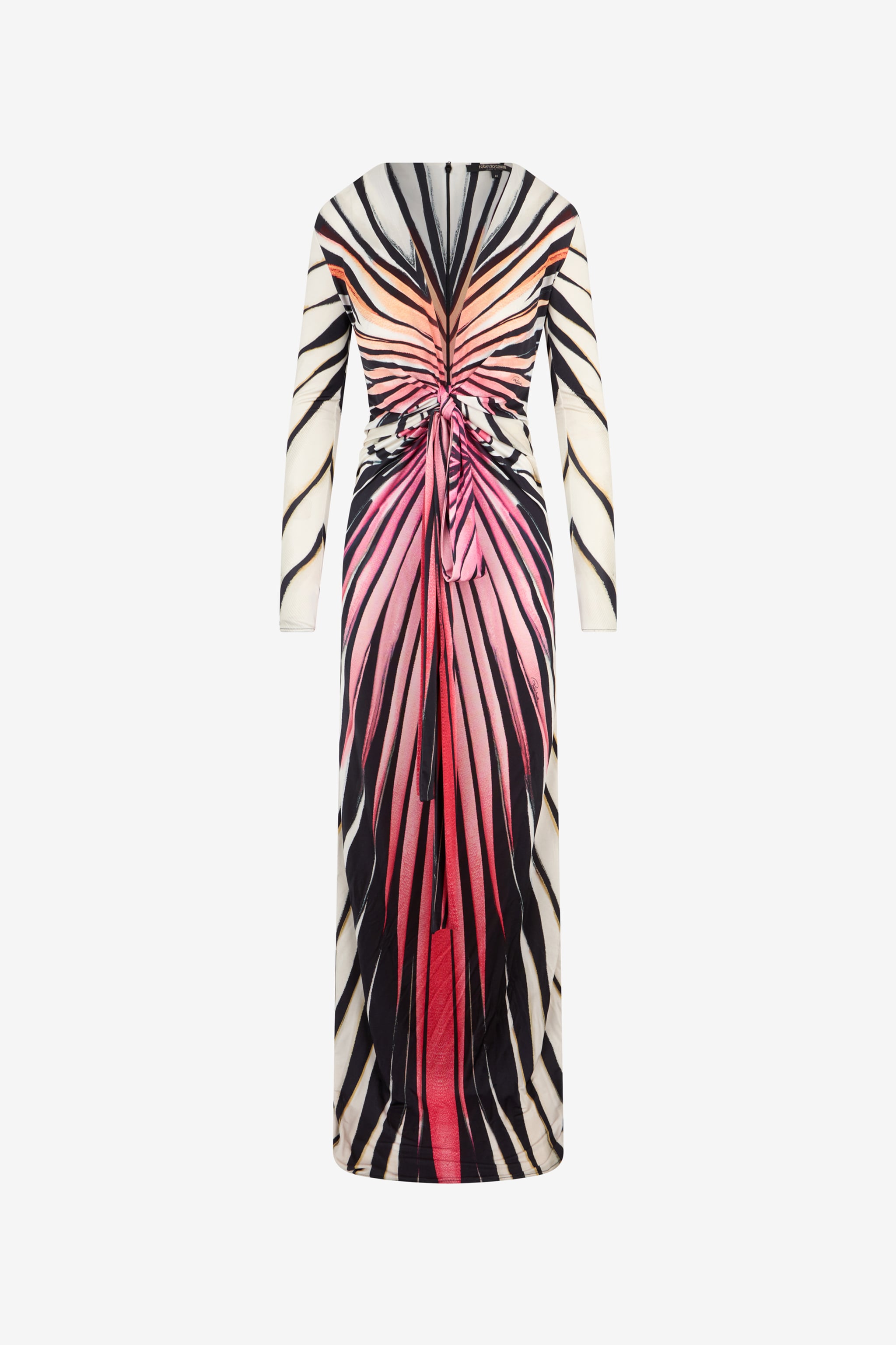 Roberto Cavalli Ray Of Paradise Print Maxi Dress