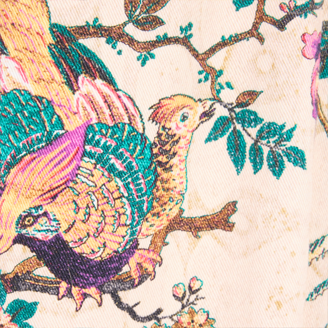 Roberto Cavalli Jeans With Oriental Bird Print In Neutral