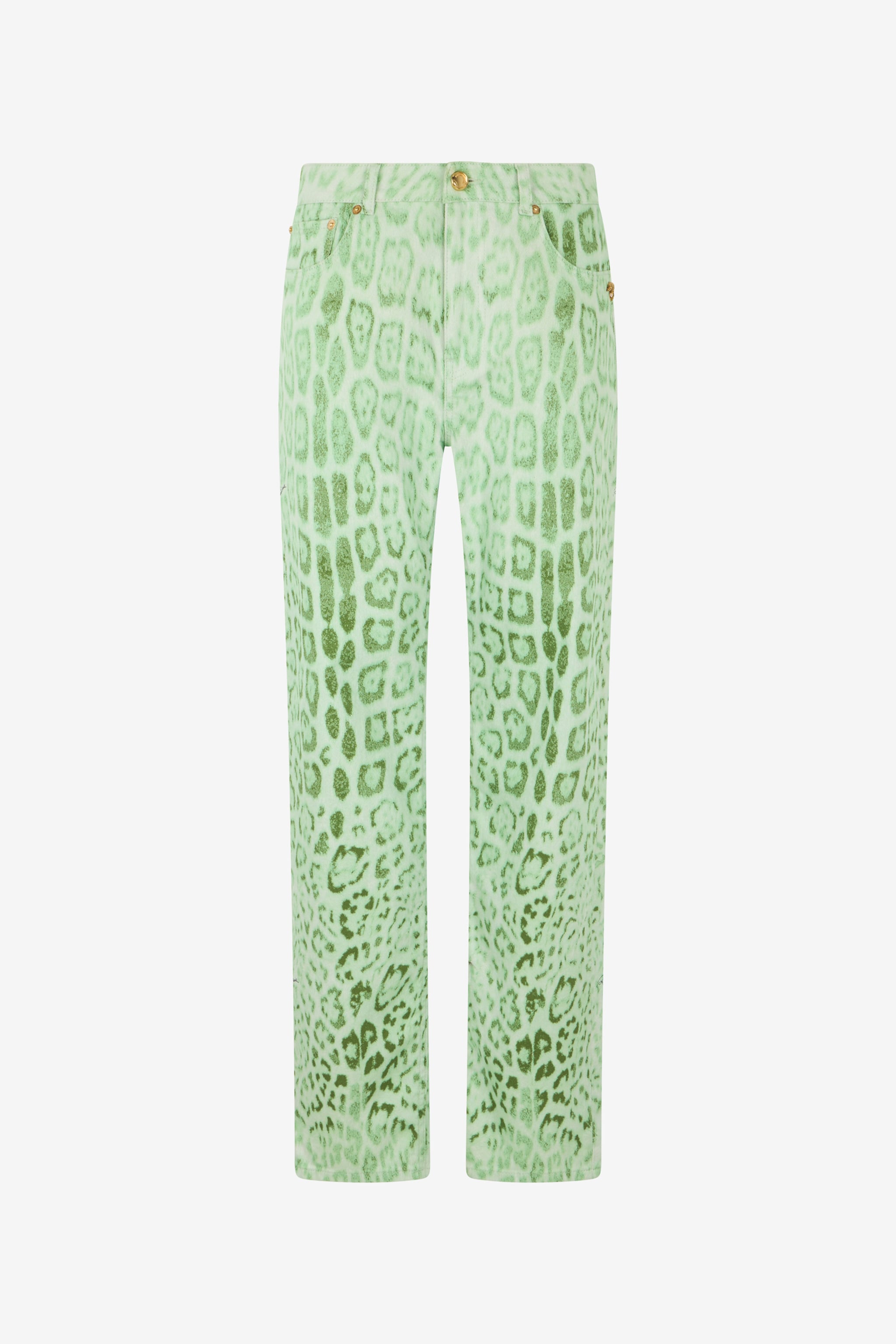 Roberto Cavalli Cotton Denim with Jaguar Mint Print