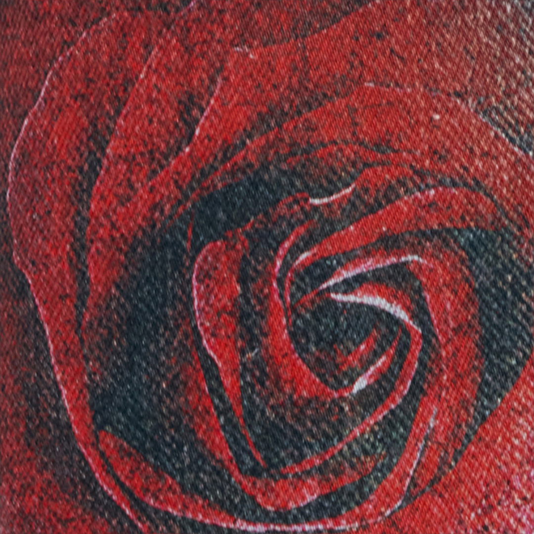 Jeans with Rose and Snake Print