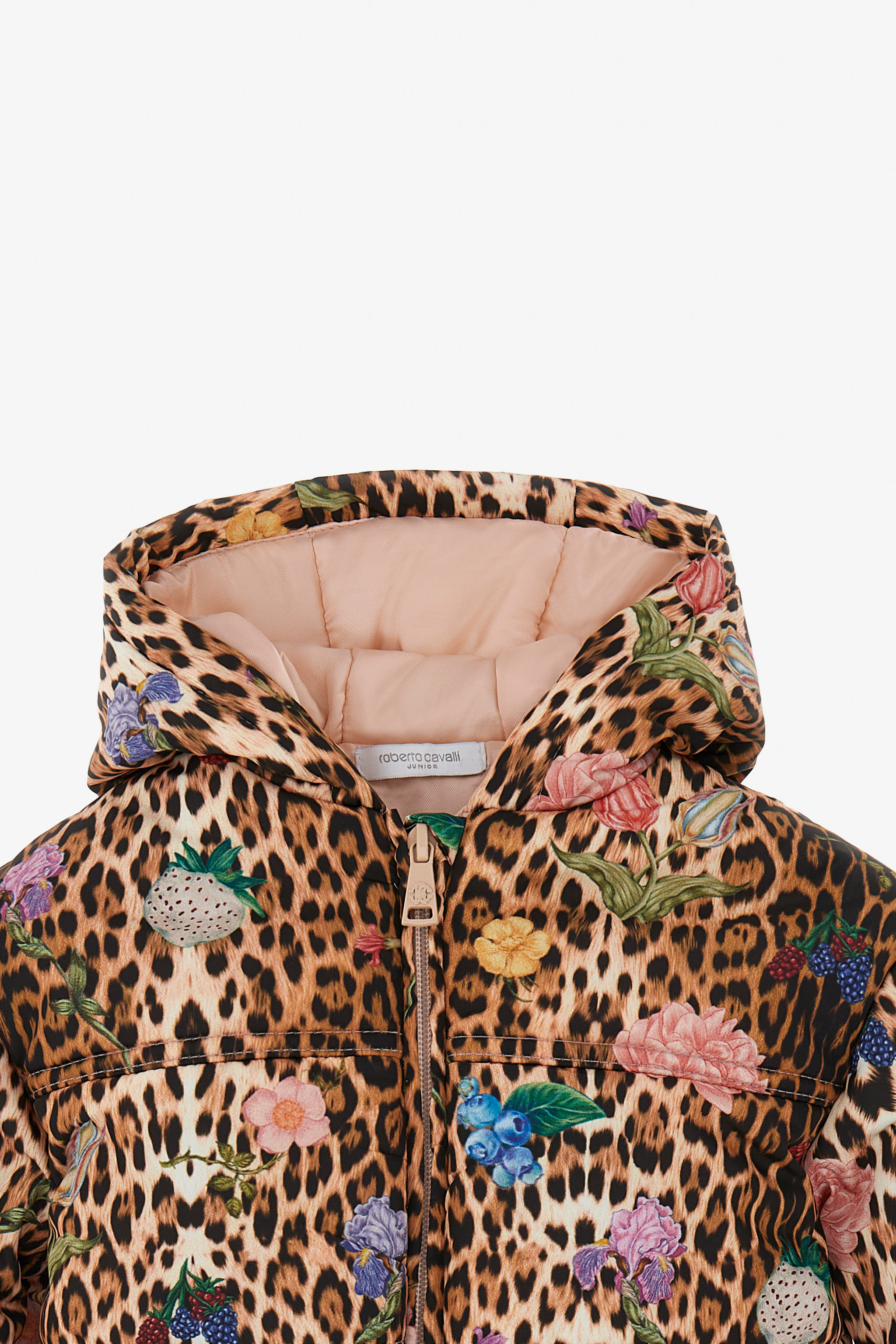 Roberto Cavalli Leopard-print Jacket In Light Brown