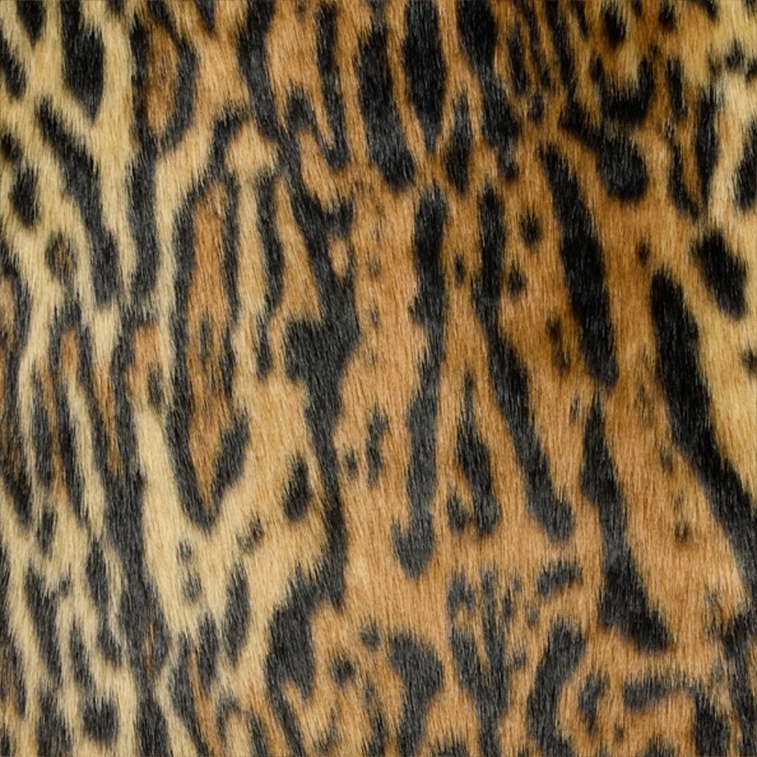 Roberto Cavalli Leopard Print Faux Fur Coat In Brown