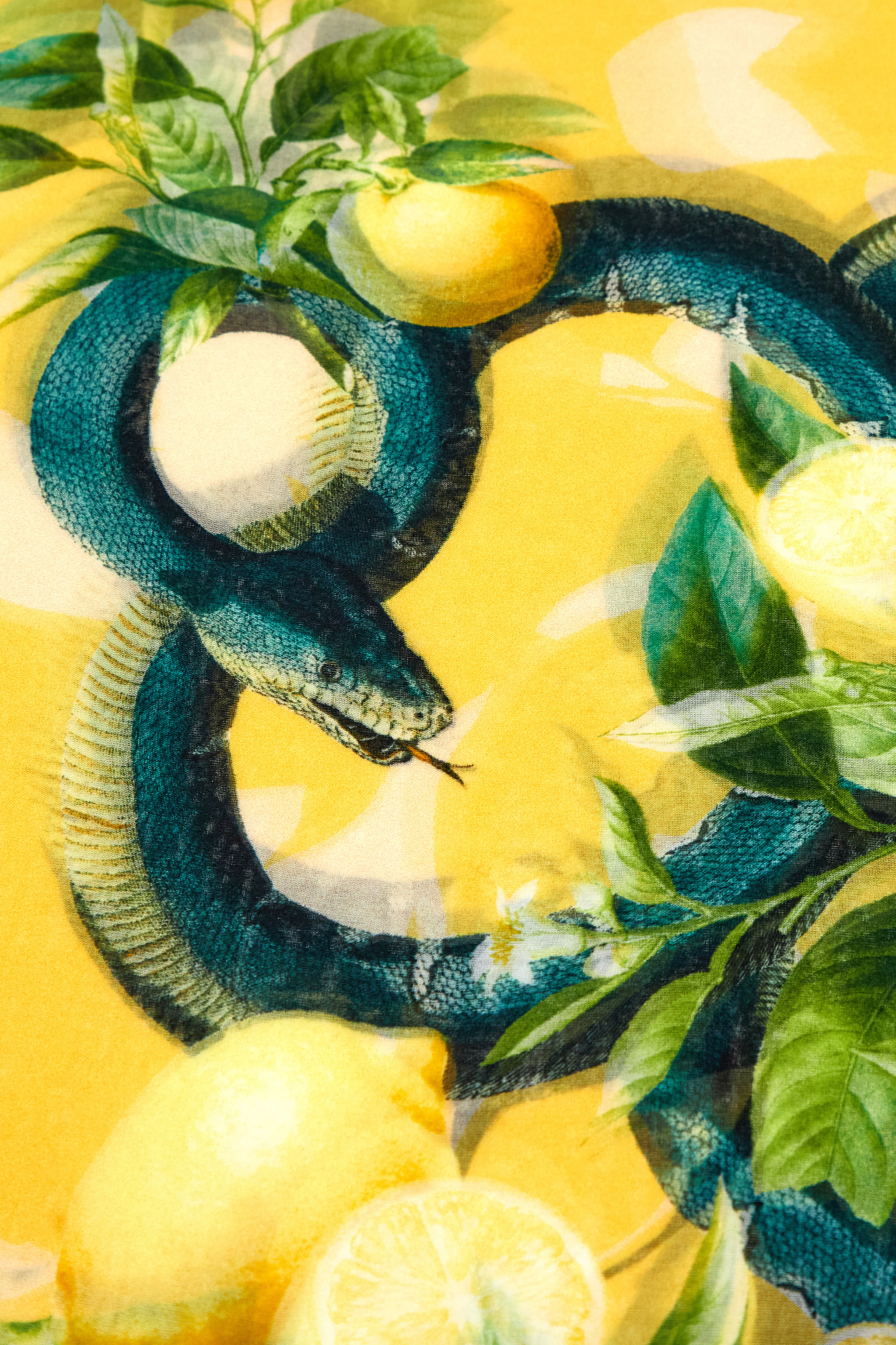 ROBERTO CAVALLI LEMON PRINT SCARF