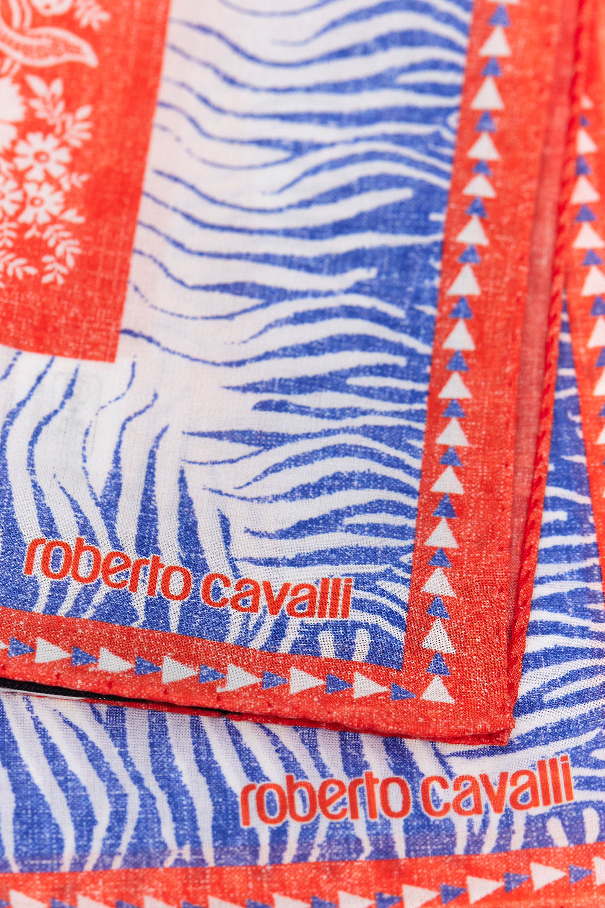 Roberto Cavalli Cotton Scarf With Zebra Pattern And Logo In Blue