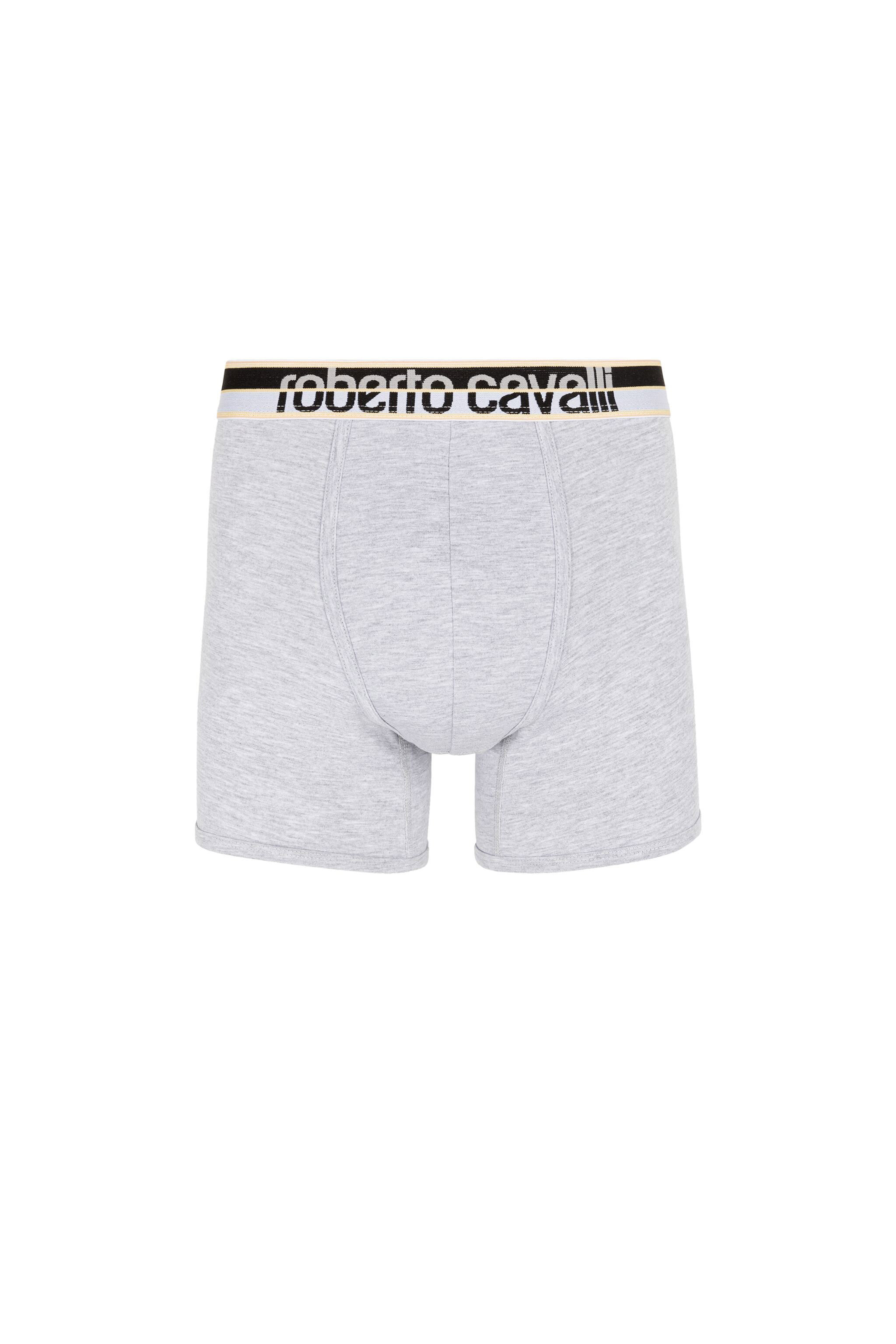 Roberto Cavalli Logo Boxer Briefs In Gray