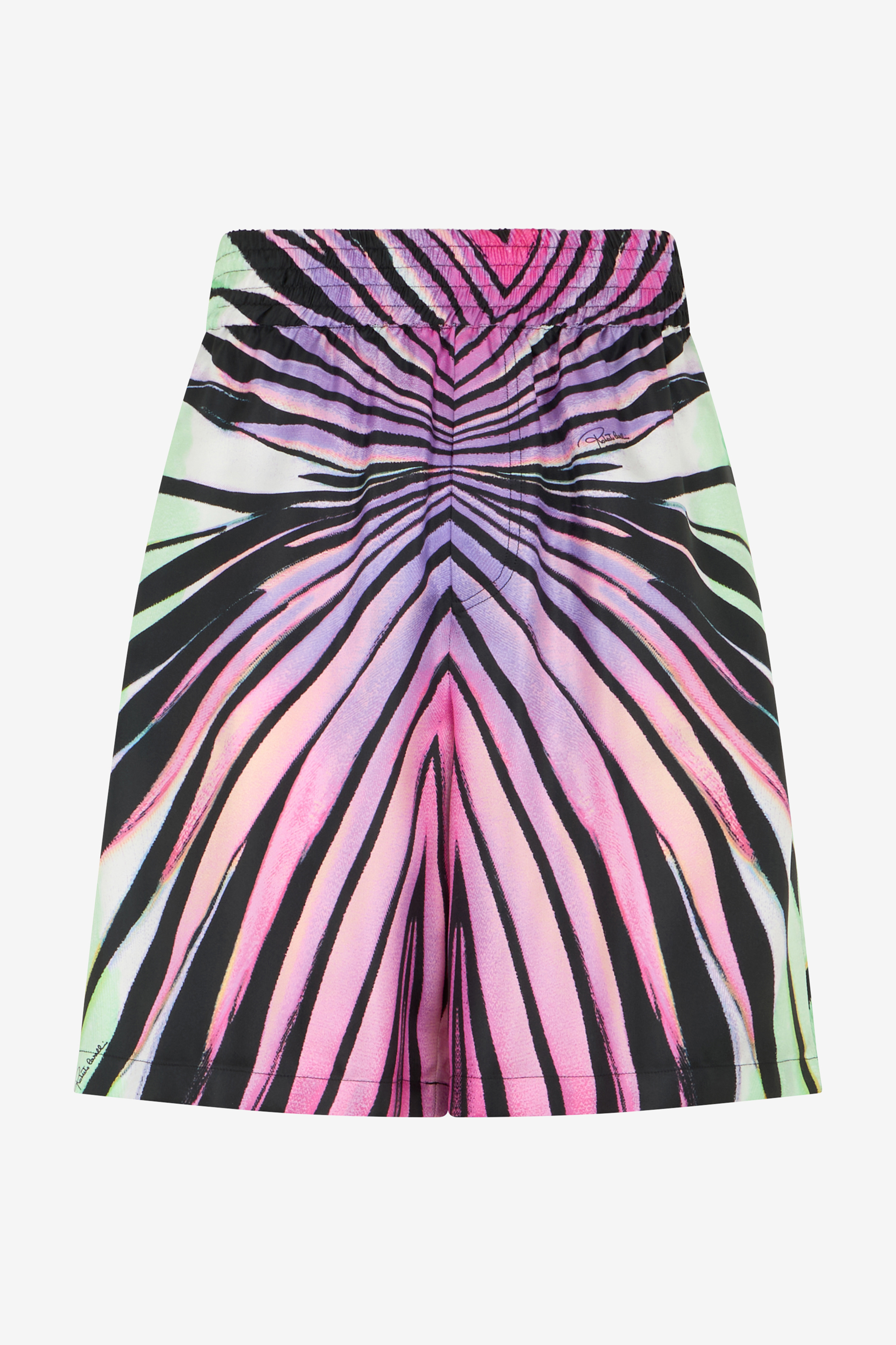 Roberto Cavalli Ray Of Paradise Print Shorts