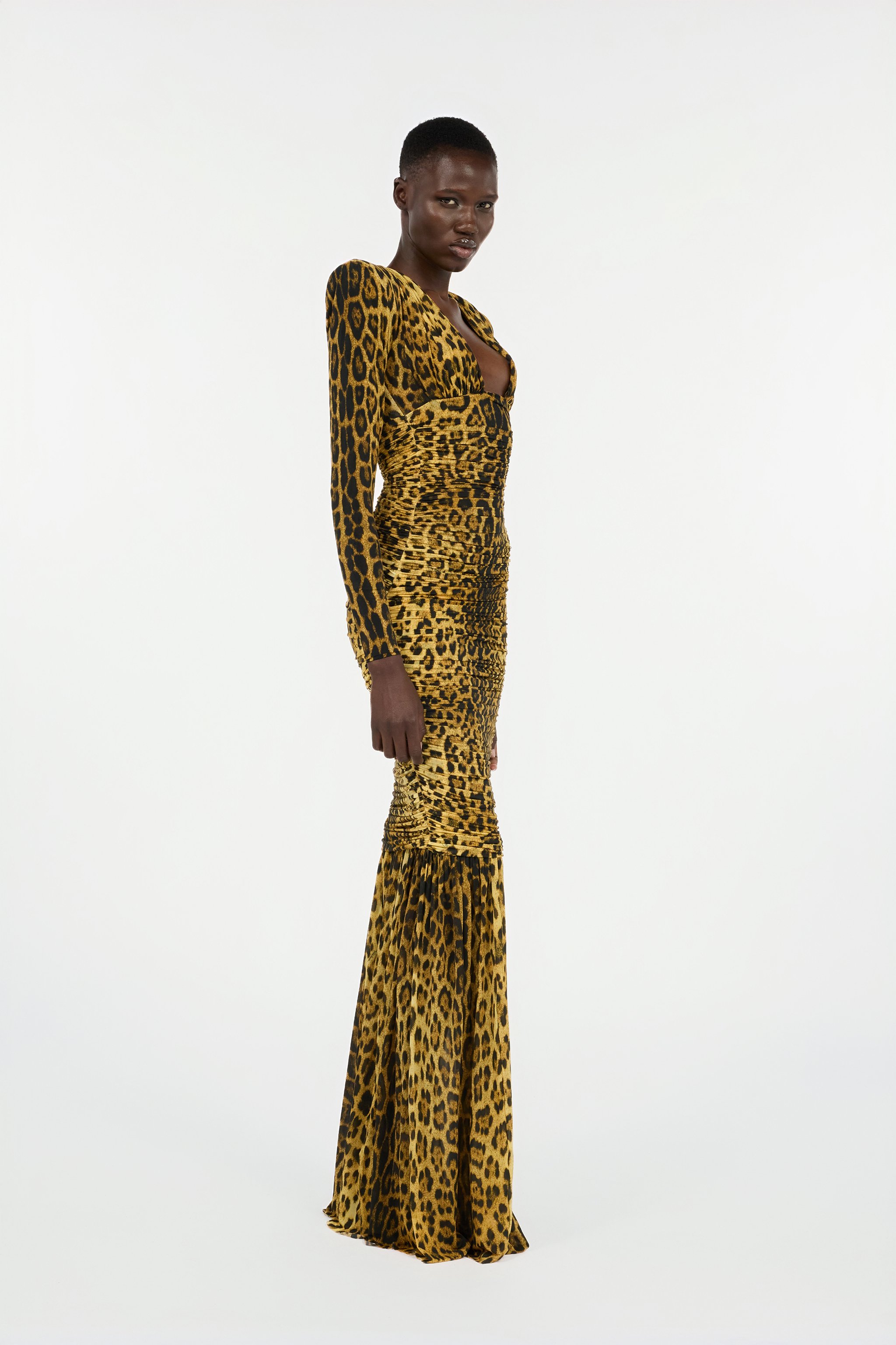 Roberto Cavalli Long Dress With Jaguar Skin Print In Multi