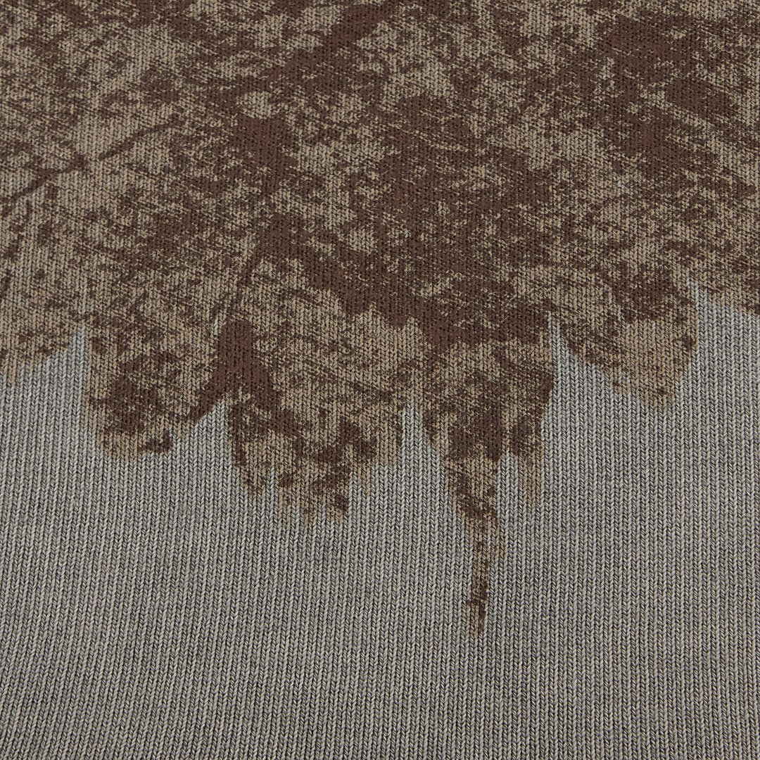 Roberto Cavalli Grey Eagle Print Hoodie In Gray