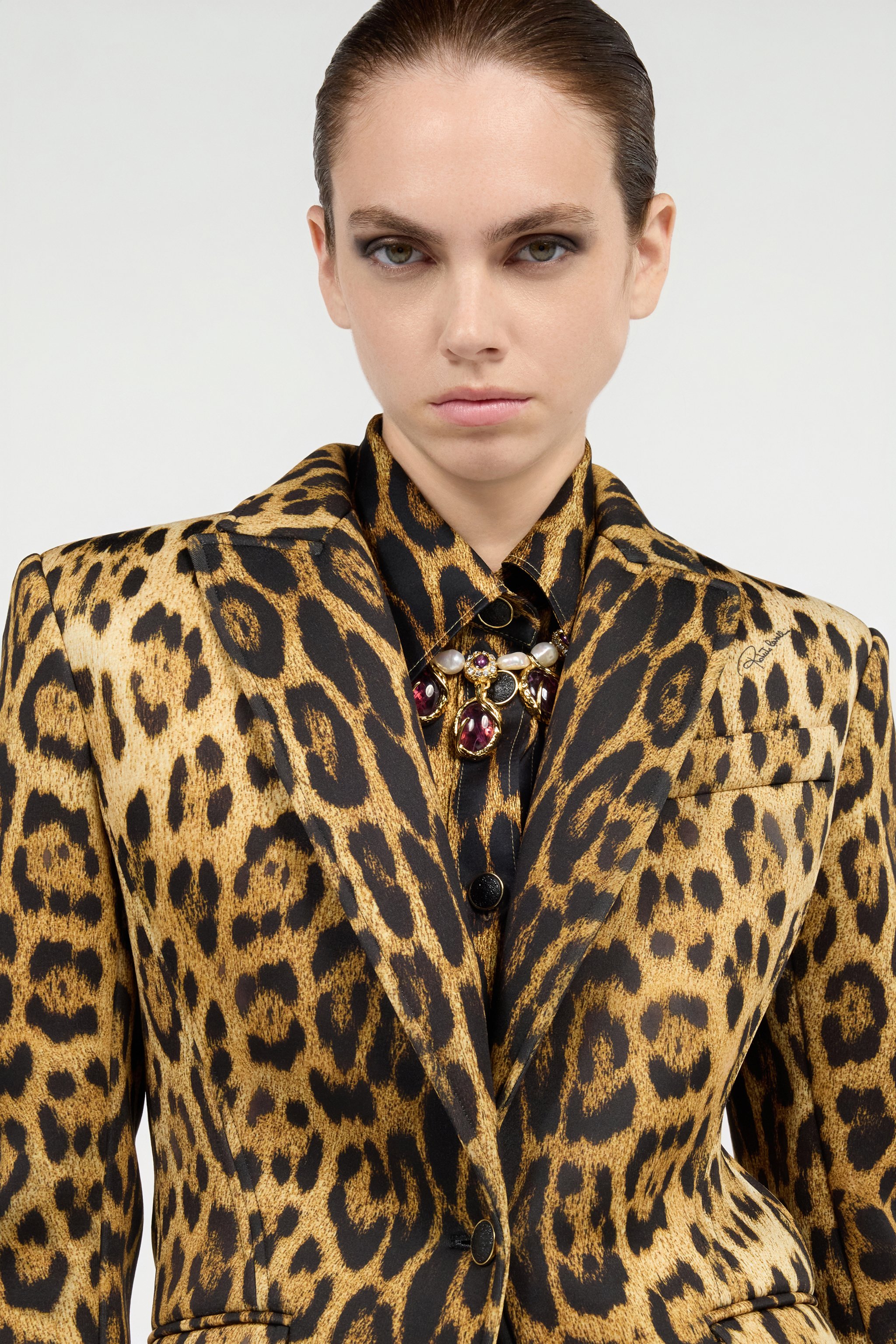 Roberto Cavalli Single-breasted Blazer With Jaguar Skin Print In Brown