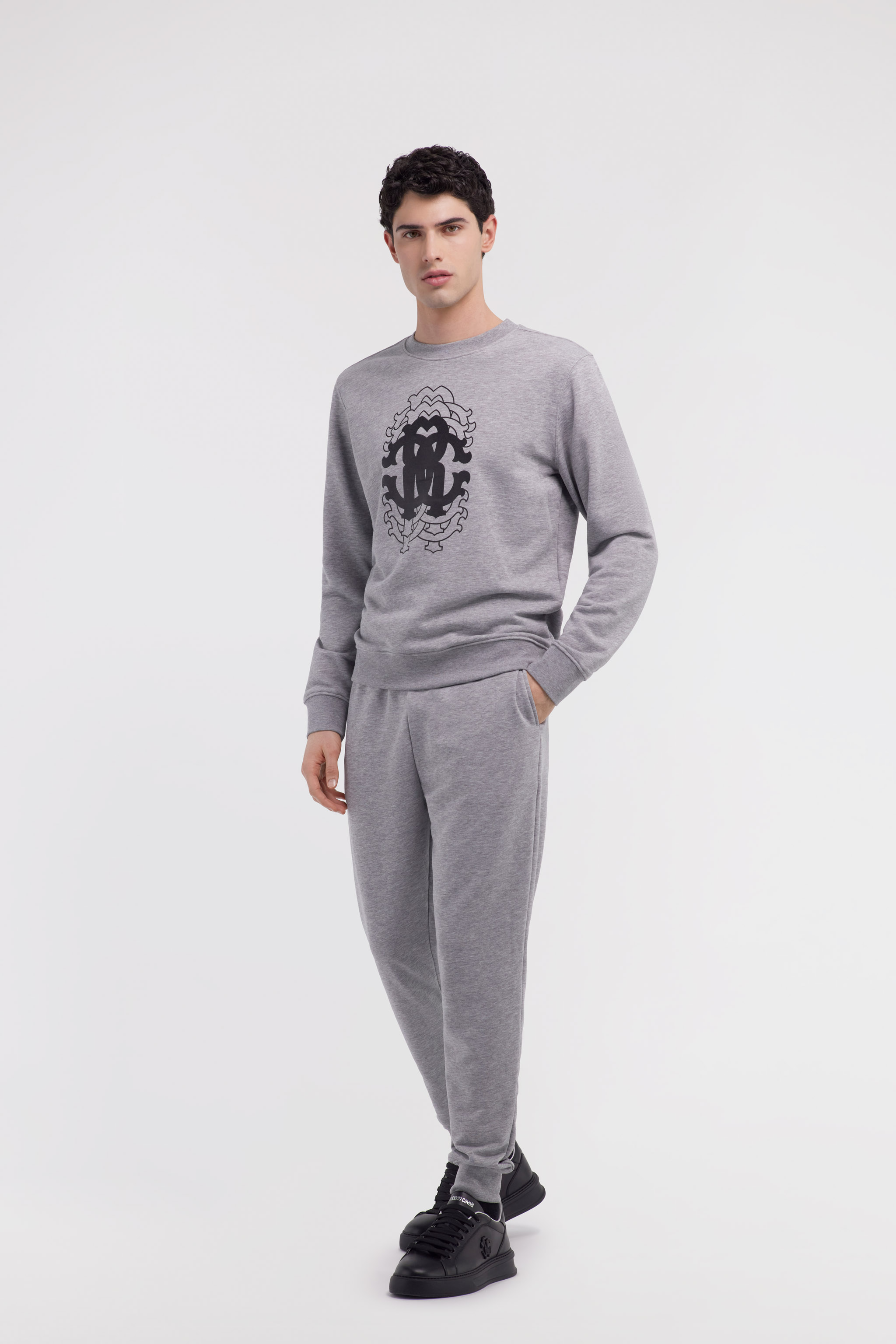 Roberto Cavalli Printed Sweatshirt In Gray