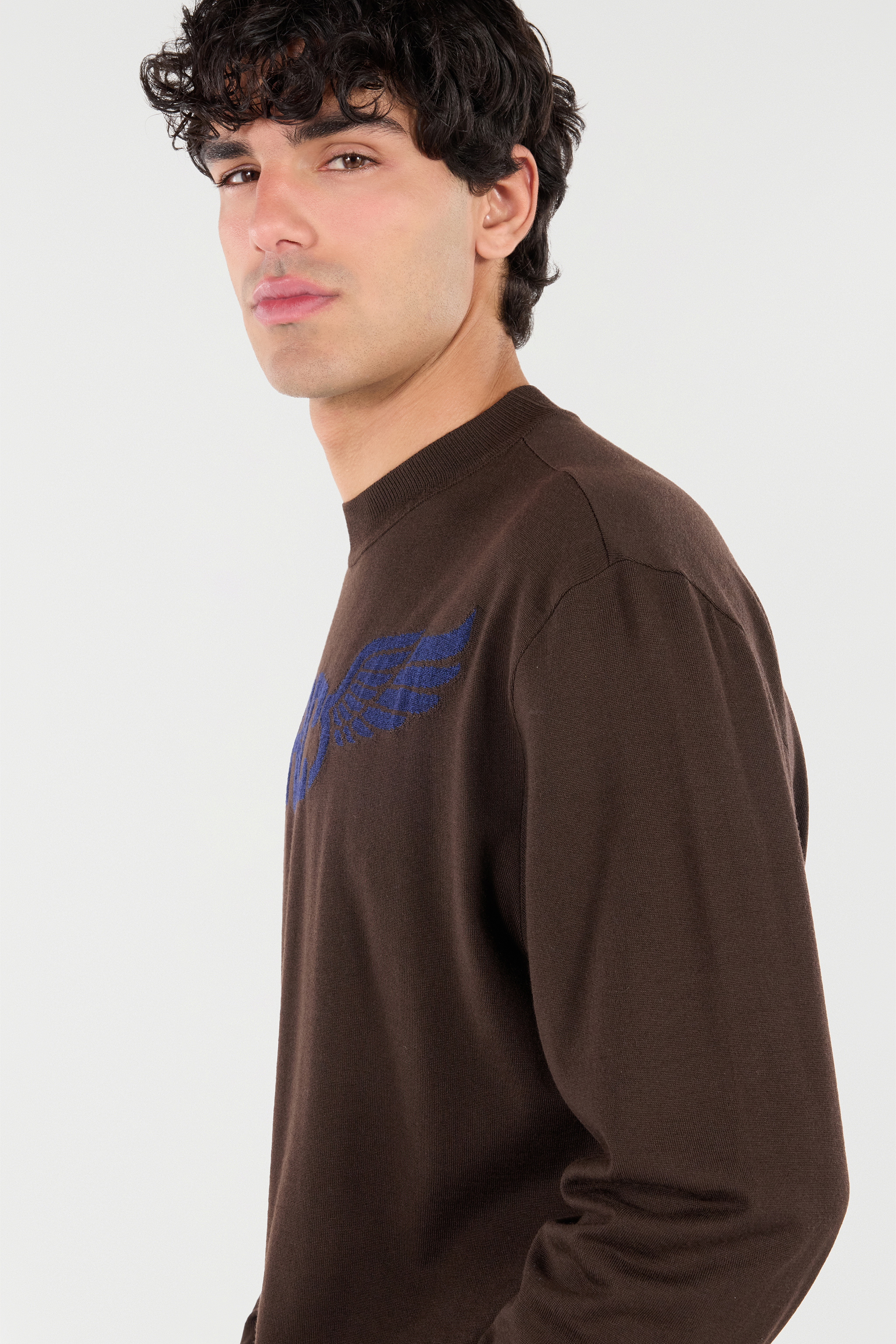 Wool Sweater With Winged Logo