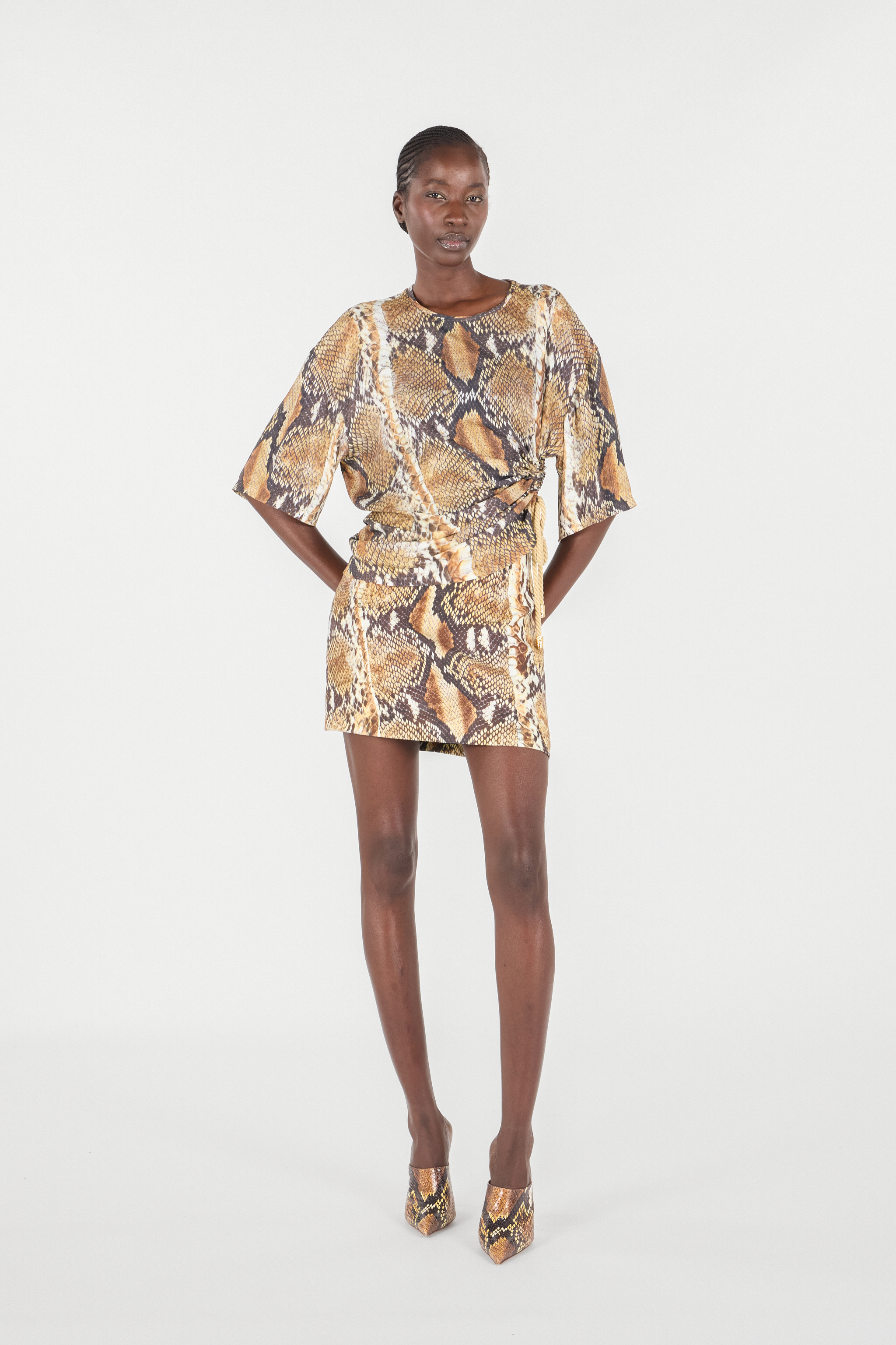 Roberto Cavalli Snakeskin-print T-shirt In Brown