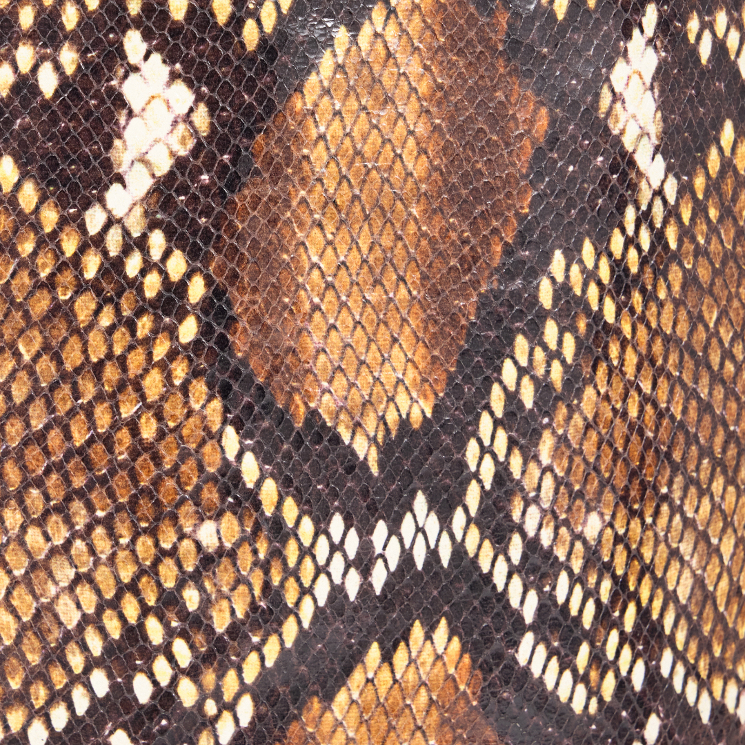 Roberto Cavalli Snakeskin-effect Leather Jacket In Brown