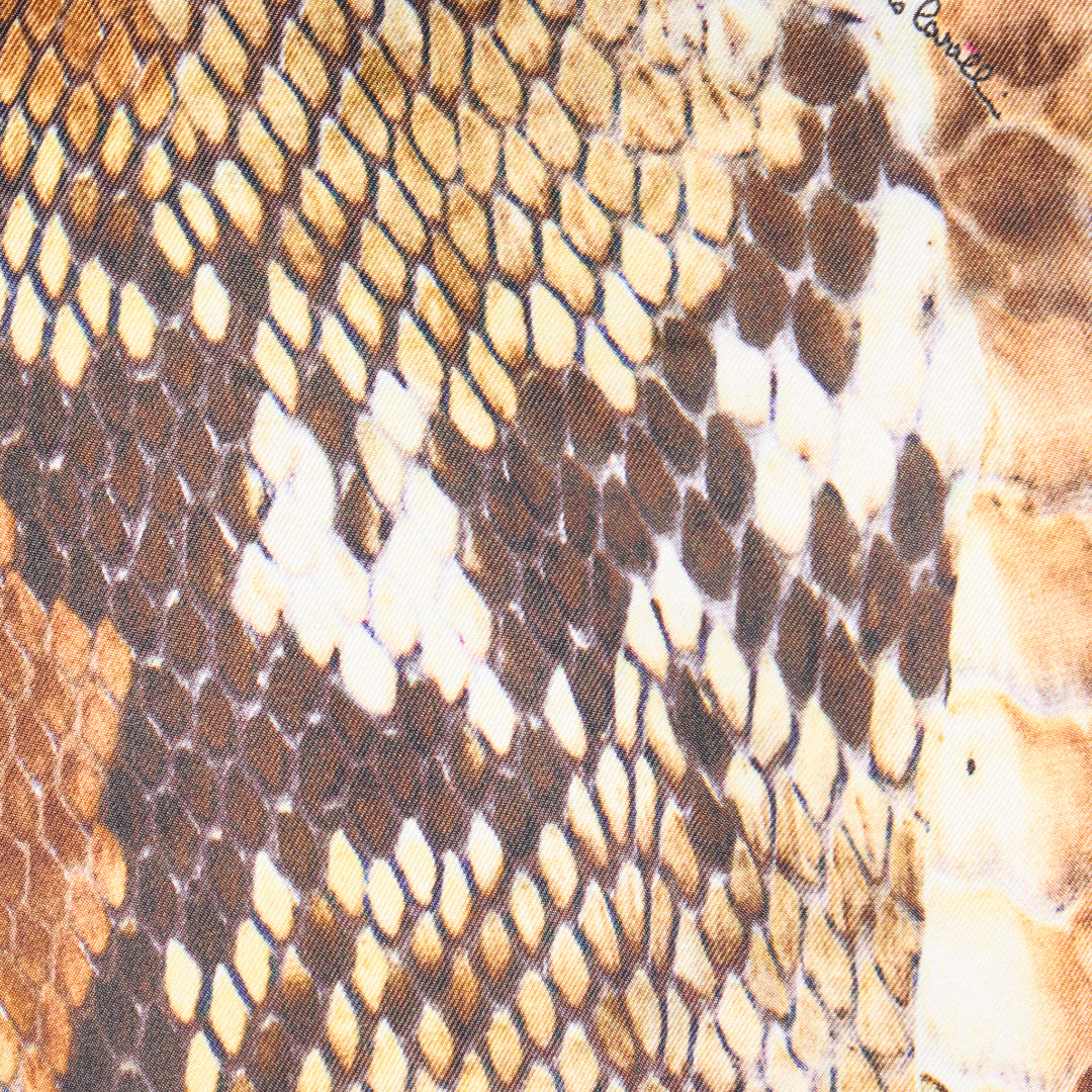 Shop Roberto Cavalli Jacke Mit Python-print In Brown
