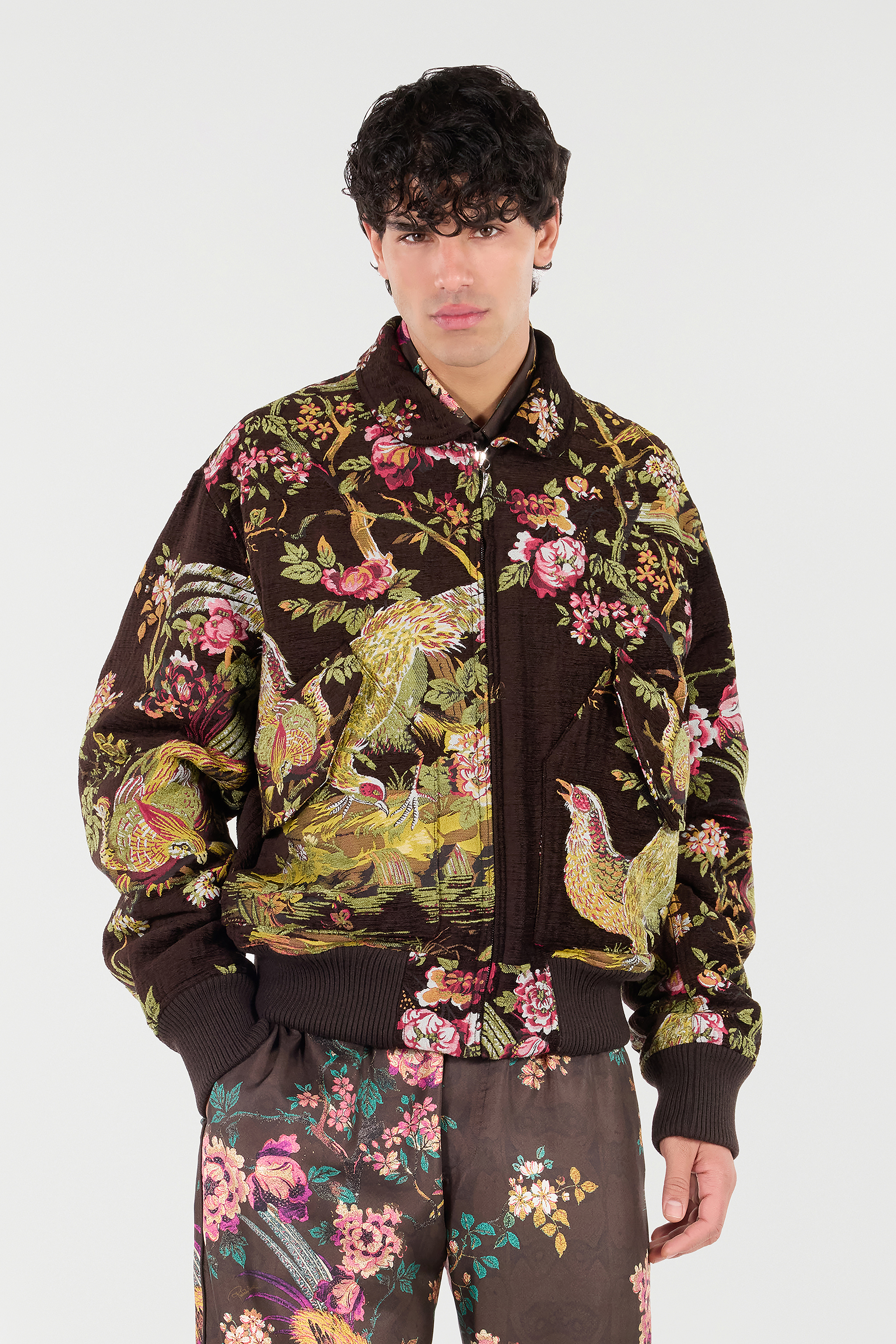 Roberto Cavalli Bomber Jacket With Natural Landscape In Brown