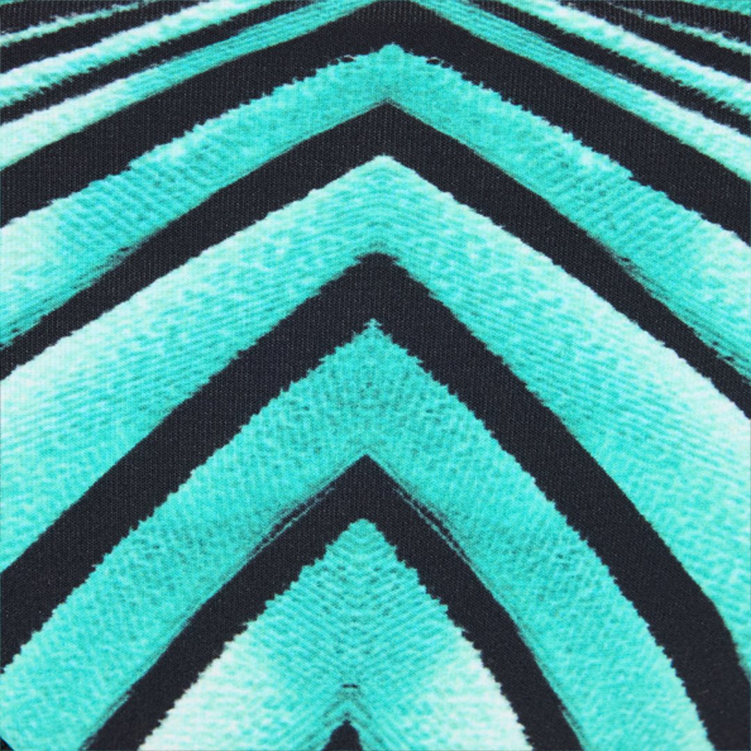 ROBERTO CAVALLI BIKINI-UNTERTEIL MIT RAY OF SEA PRINT 