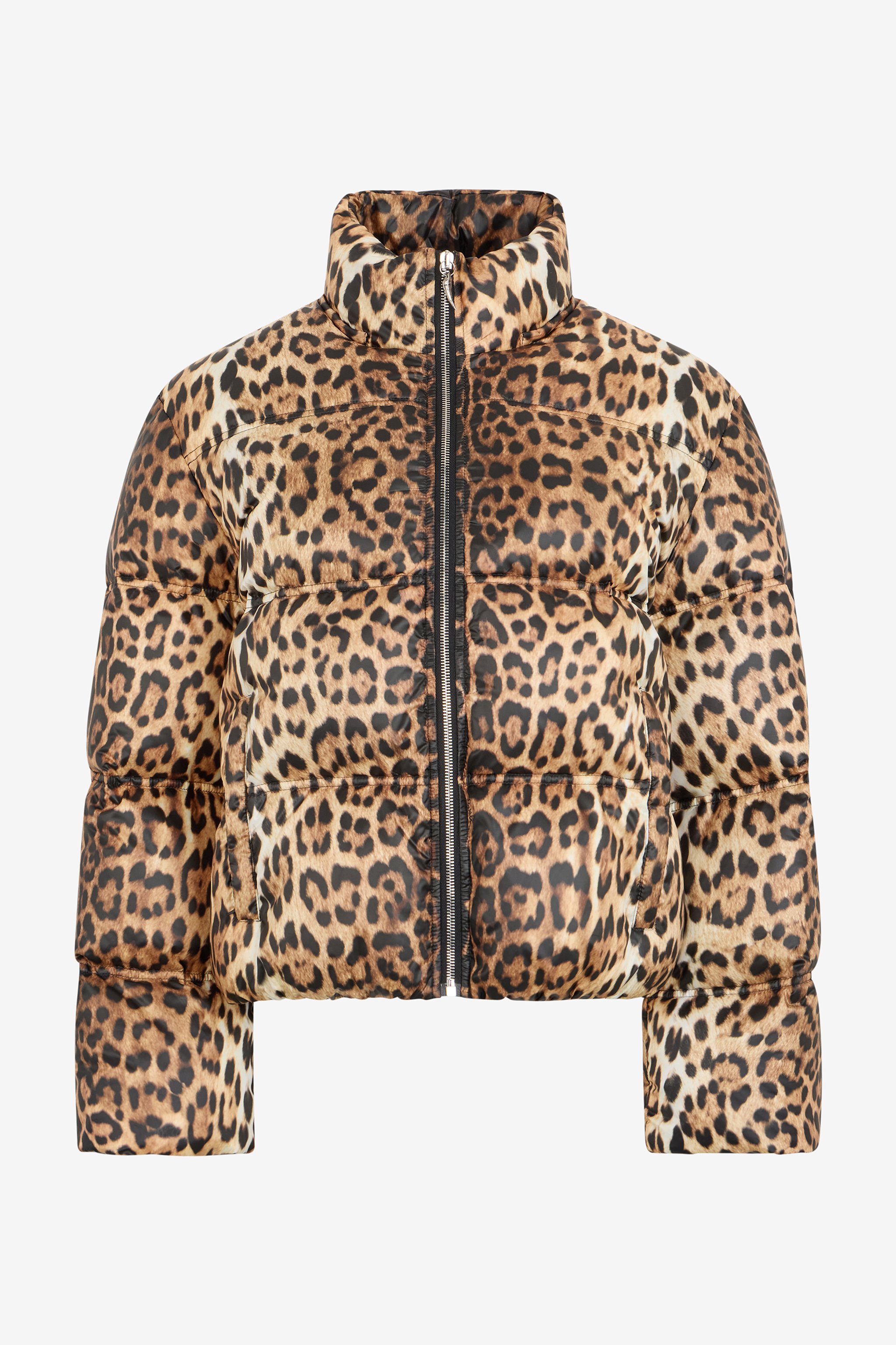 Roberto Cavalli Down Jacket In Light Brown