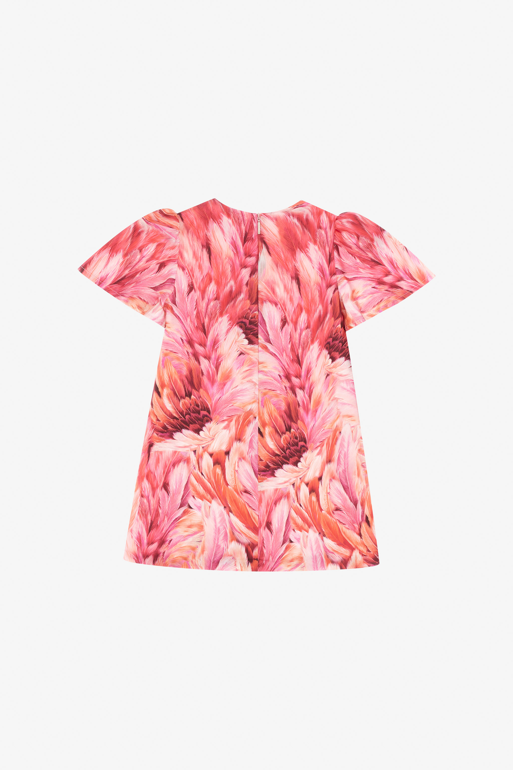 Roberto Cavalli Plumage Print Dress In Fuchsia